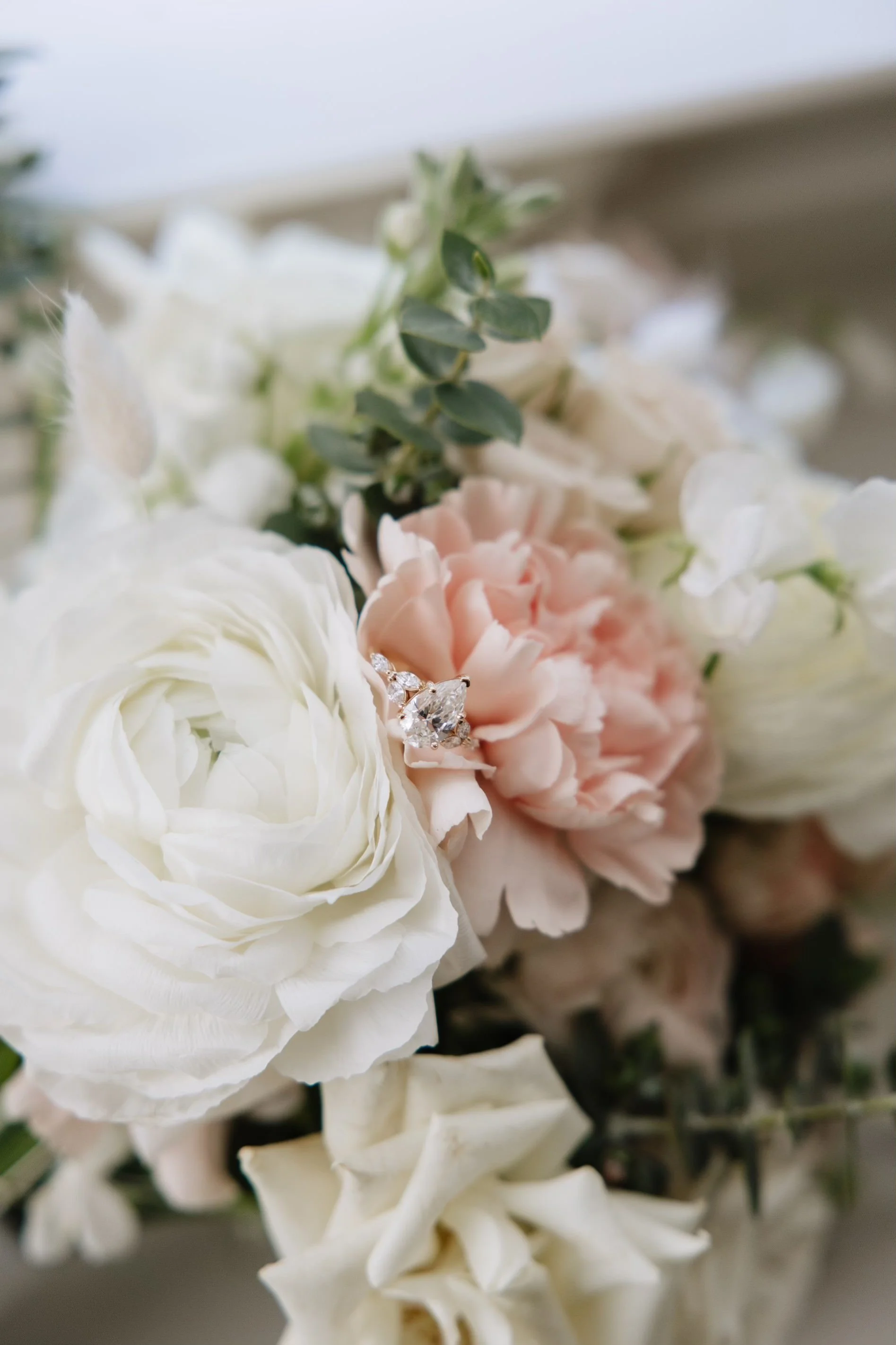 Photo by Jenny Bachinsky Photography