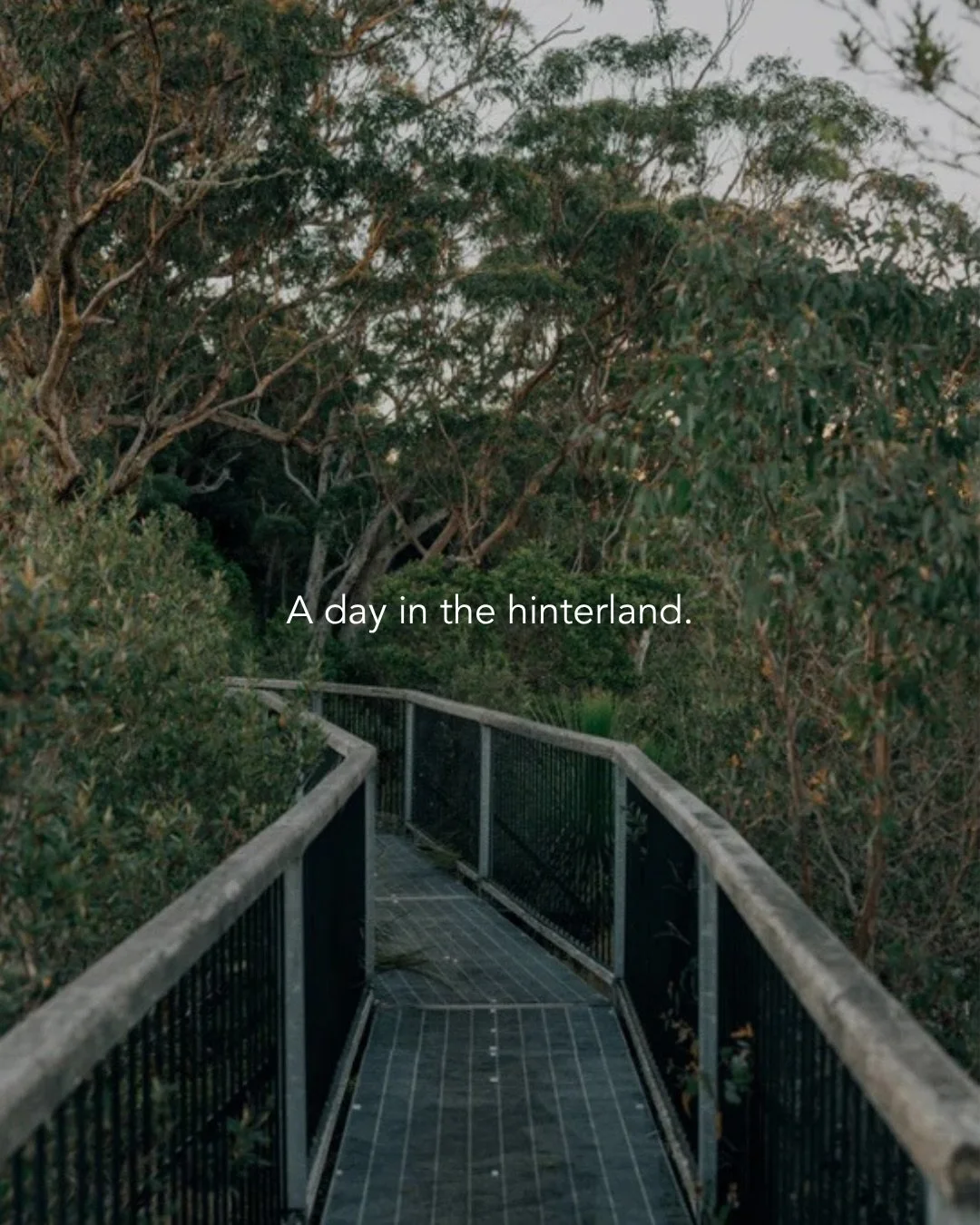 A day in the hinterland.

Start with a drive along Coolamon Scenic Drive for sweeping valley views.

Stop in Federal for a slow brunch at @federal_doma_cafe , then continue on to Newrybar for a wander through @theoldpacific 

From there, head to Mull