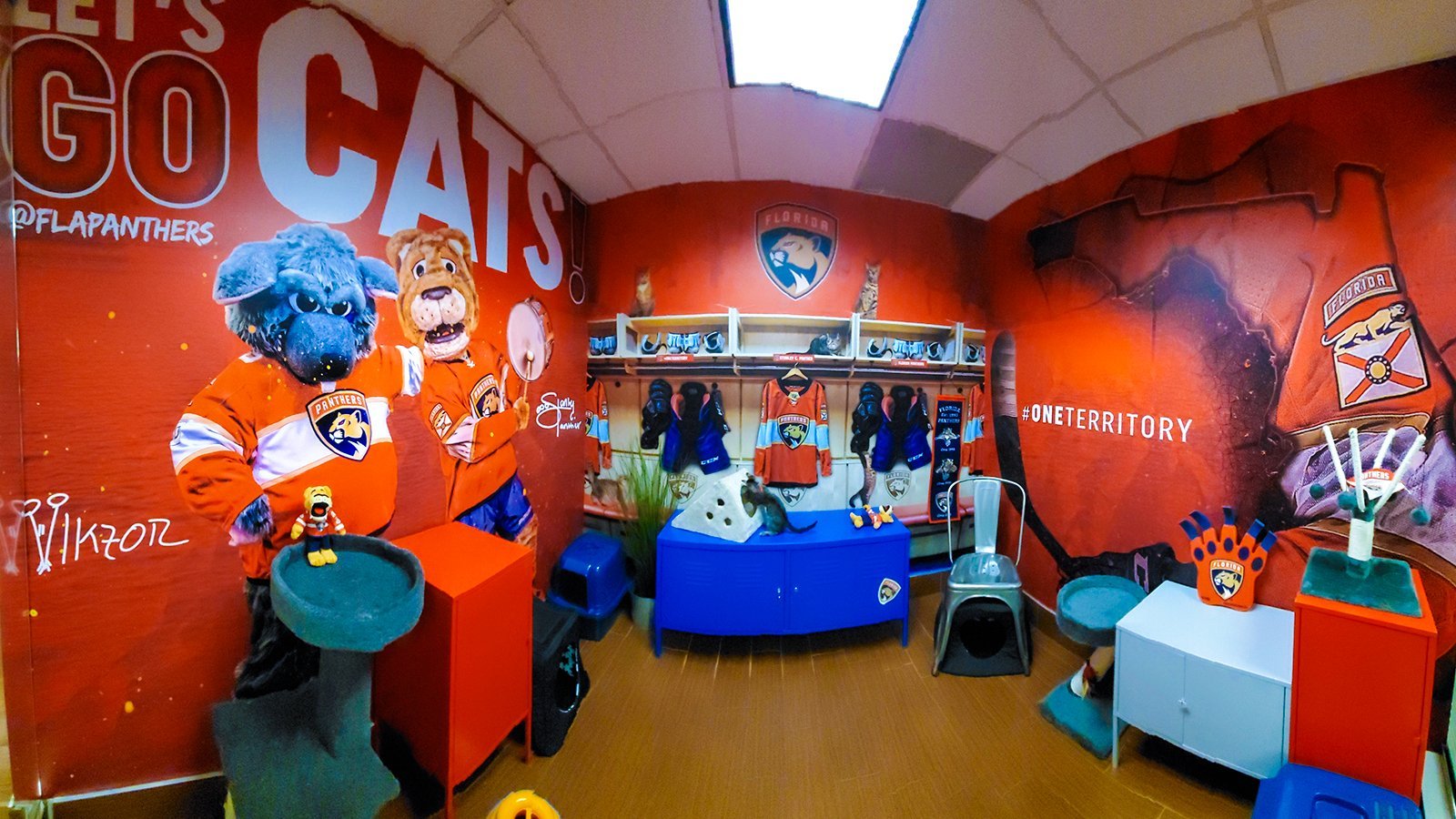 GoCats.jpg