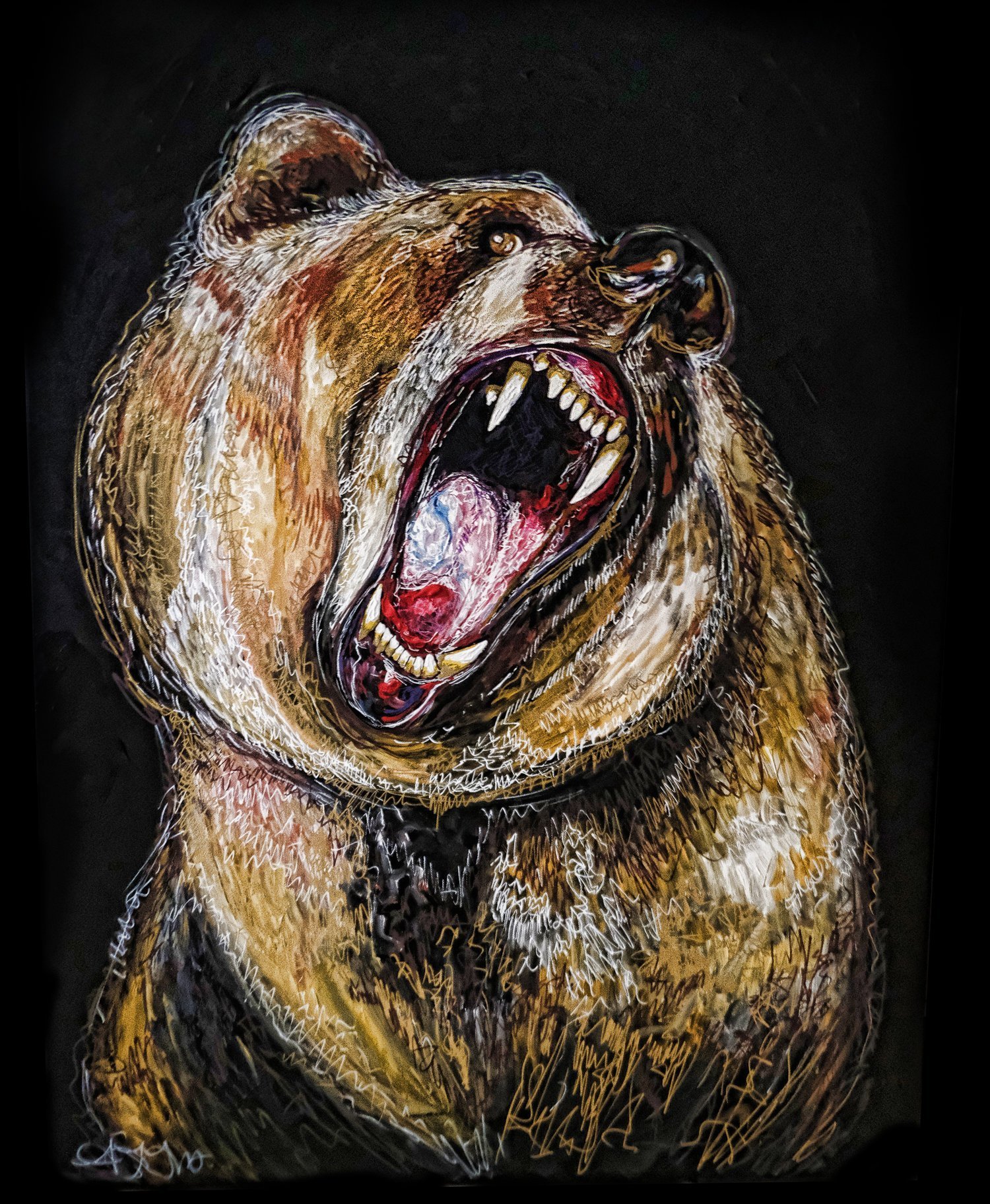 Bear.jpg