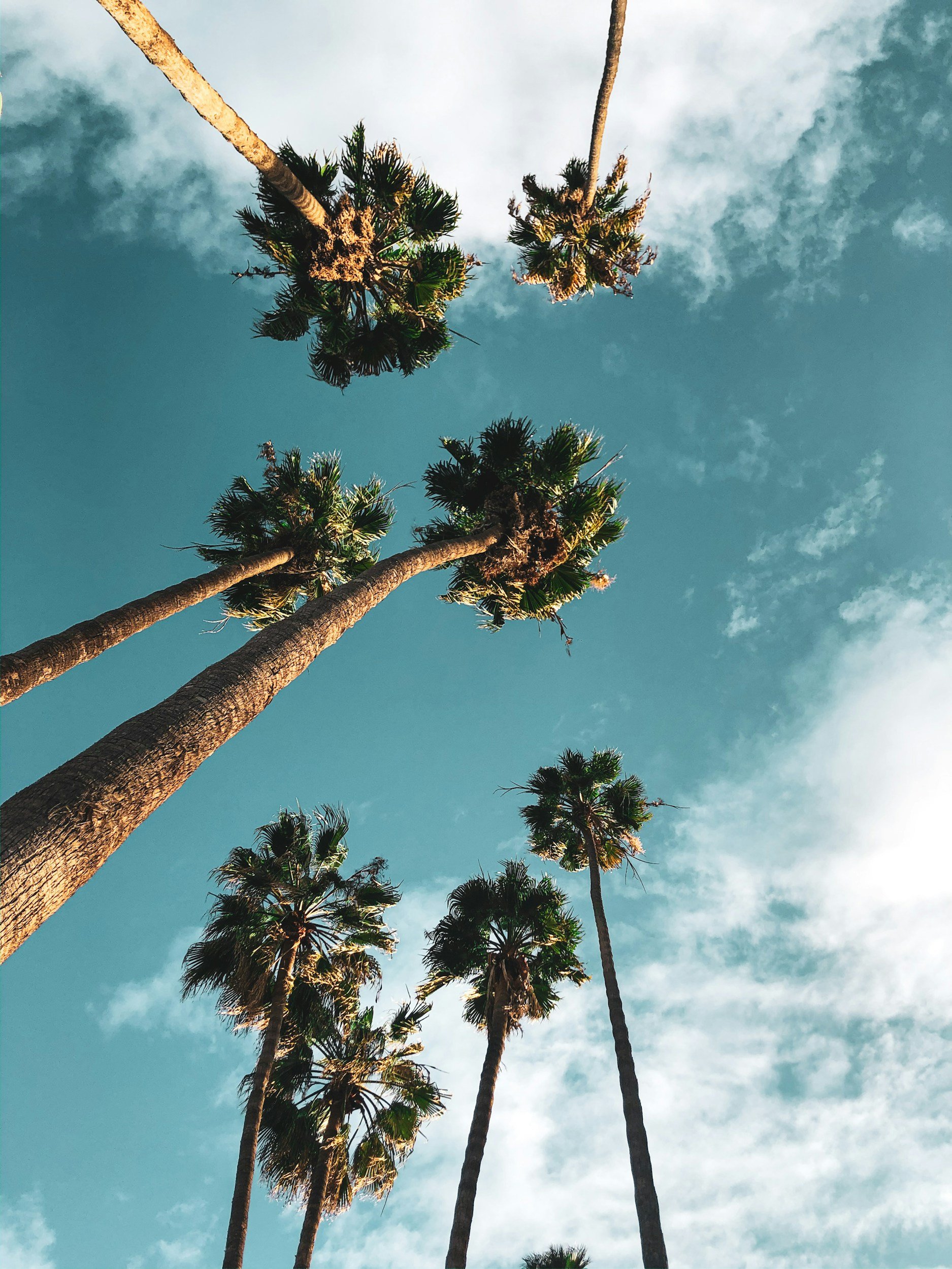 unsplash-image-T3PraCCxRBM.jpg