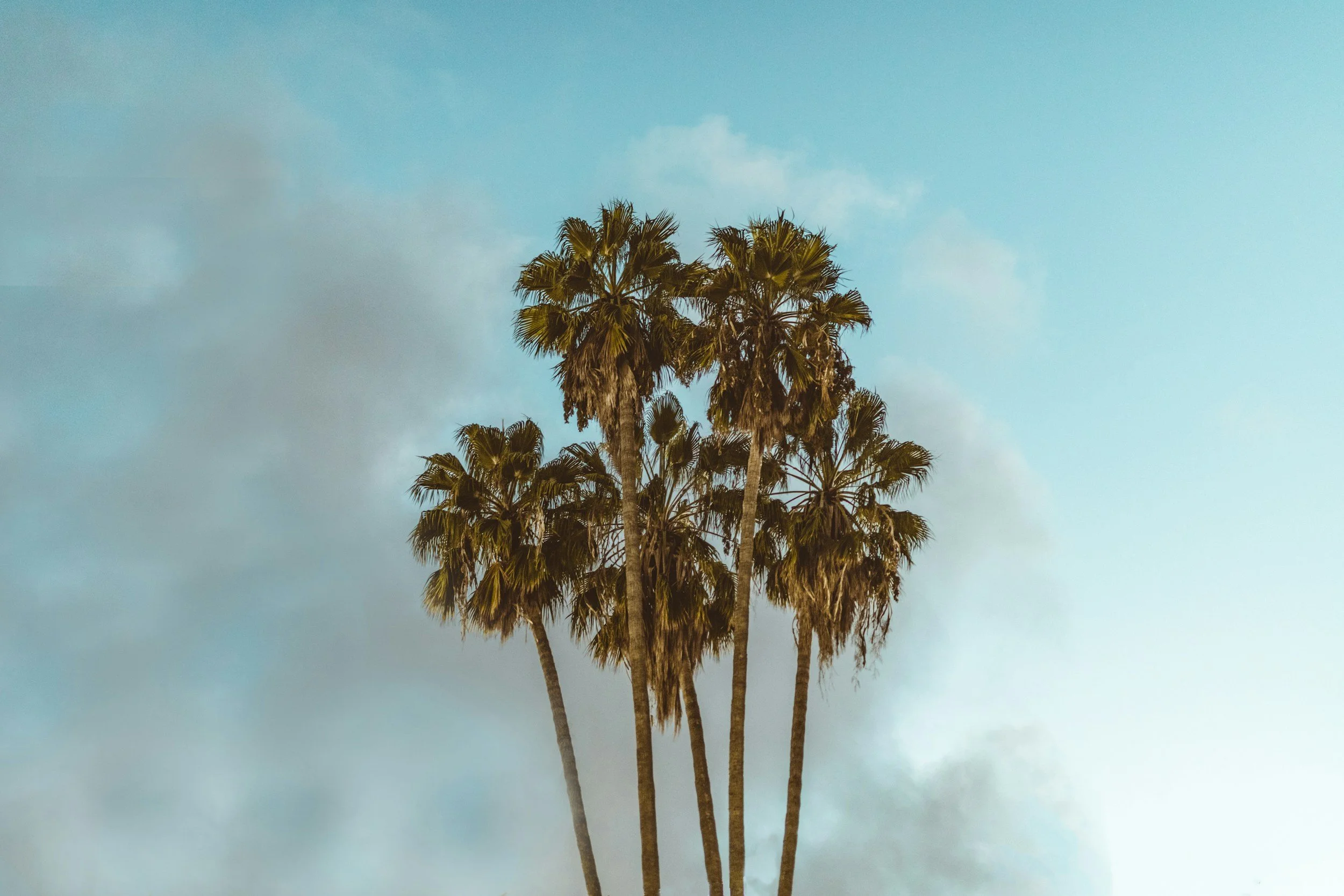 unsplash-image-Nh4ex0tw-Cc.jpg