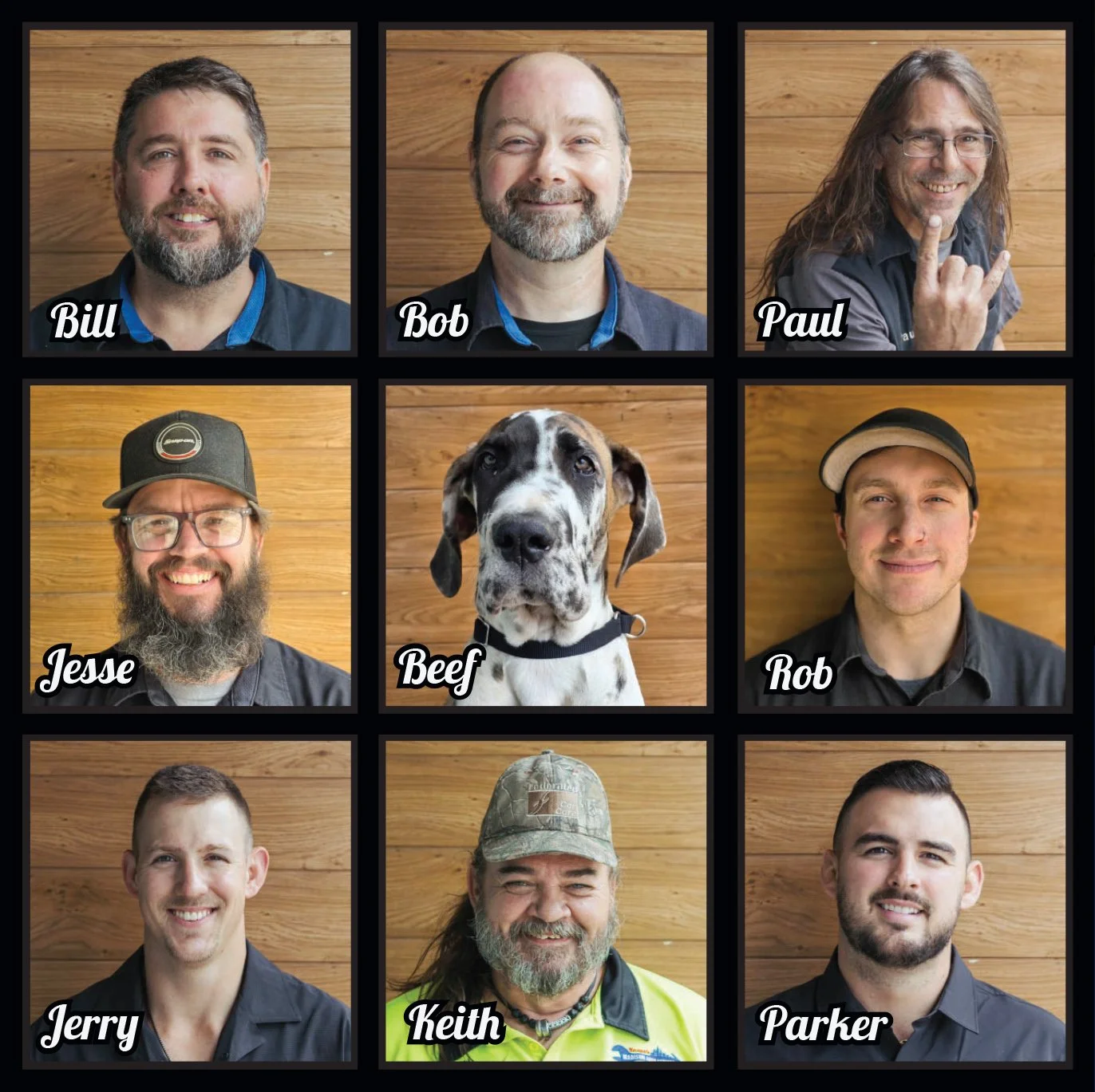 Knapp's Automotive Team