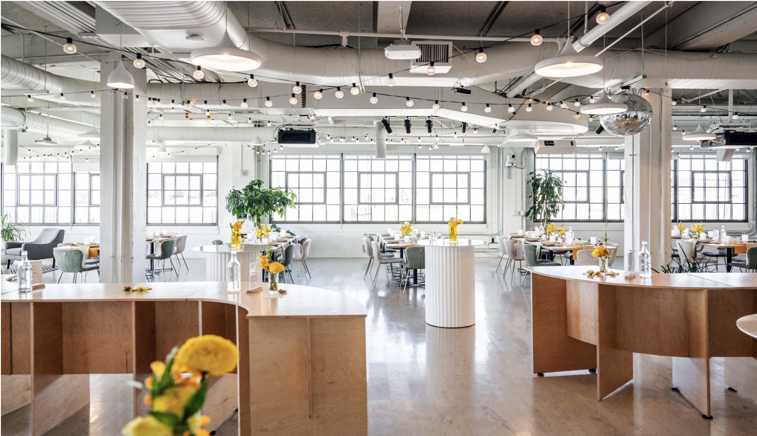 Screenshot 2025-03-20 at 11.44.56 AM.png