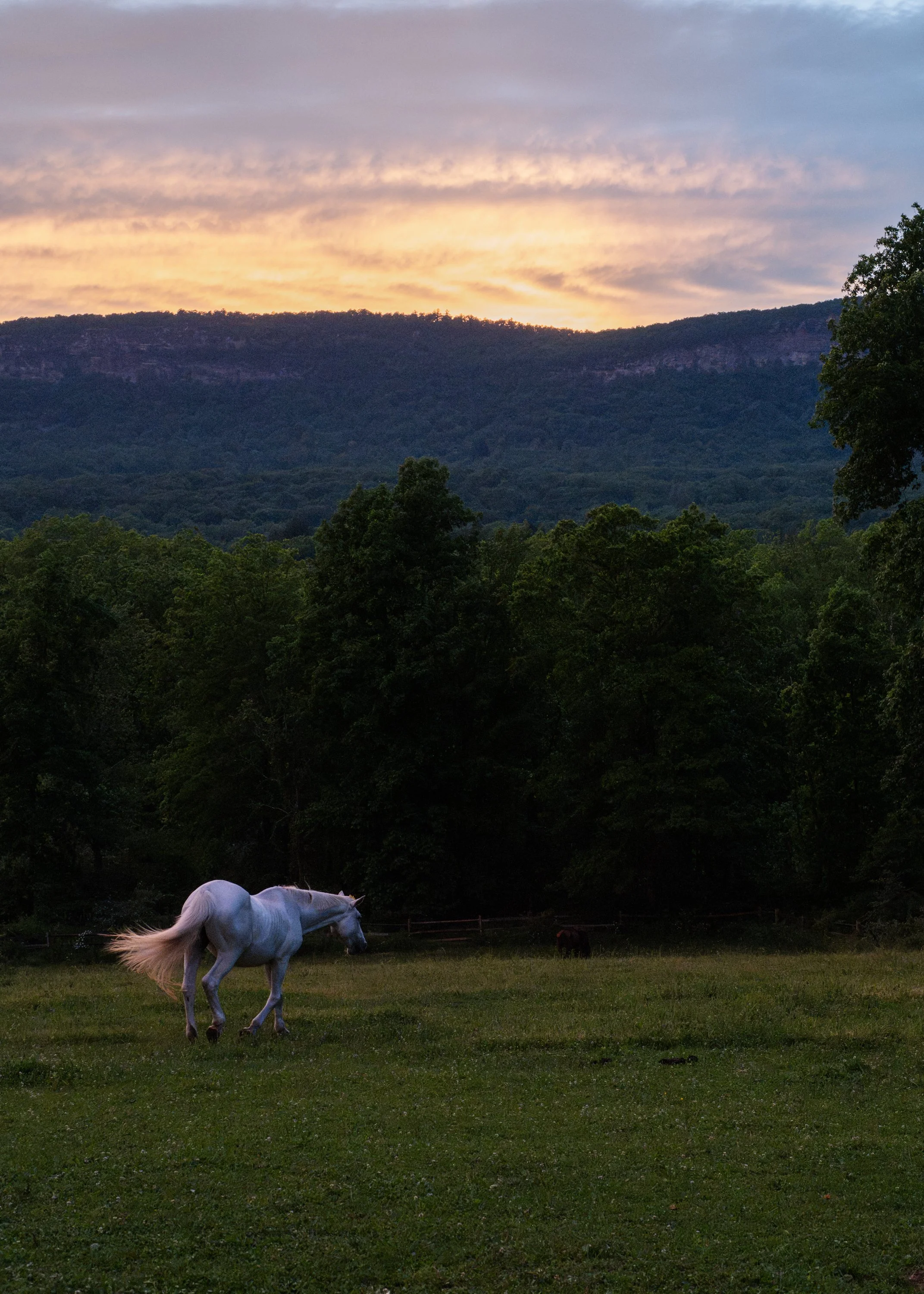 NewPaltz-28.jpg