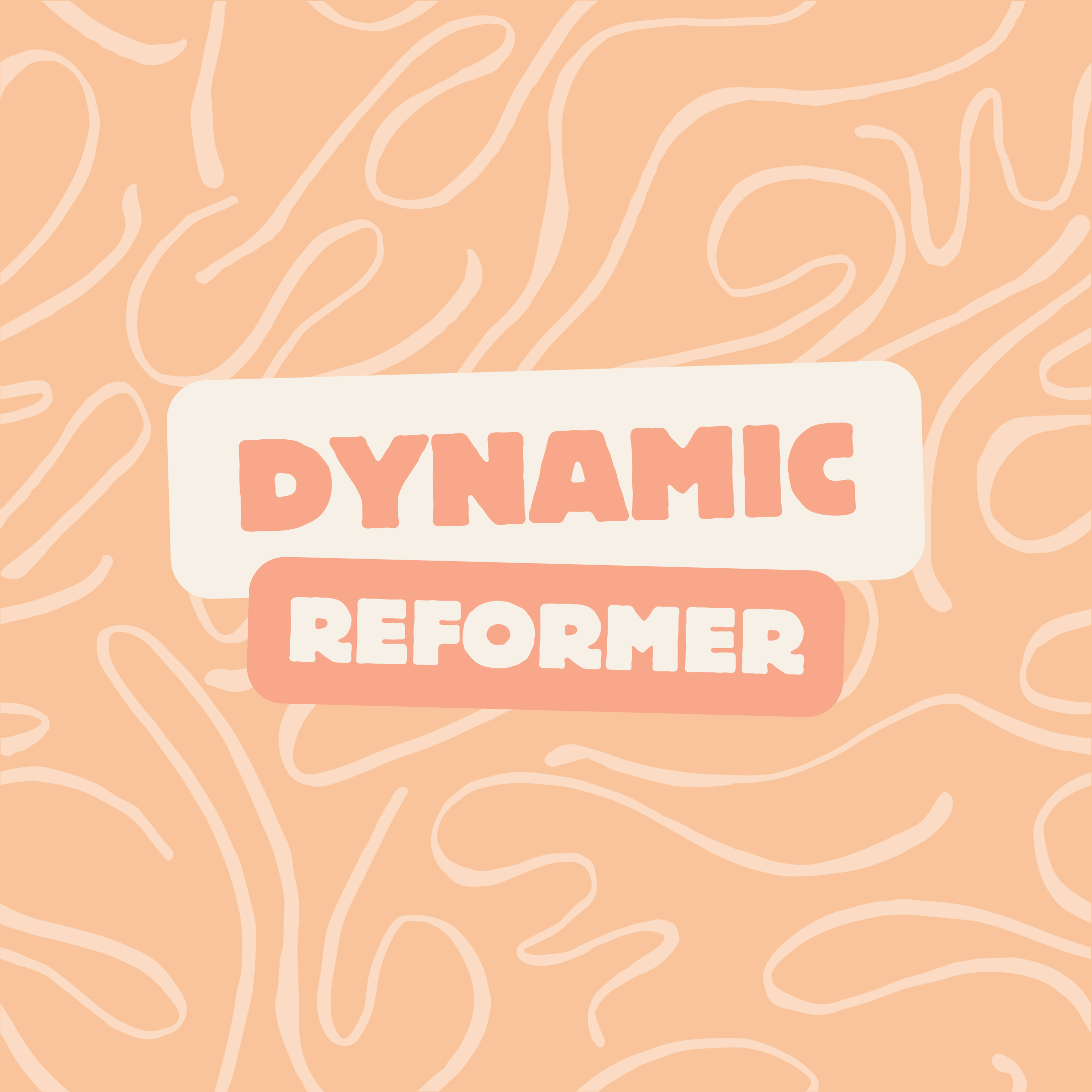 Dynamic Reformer.png