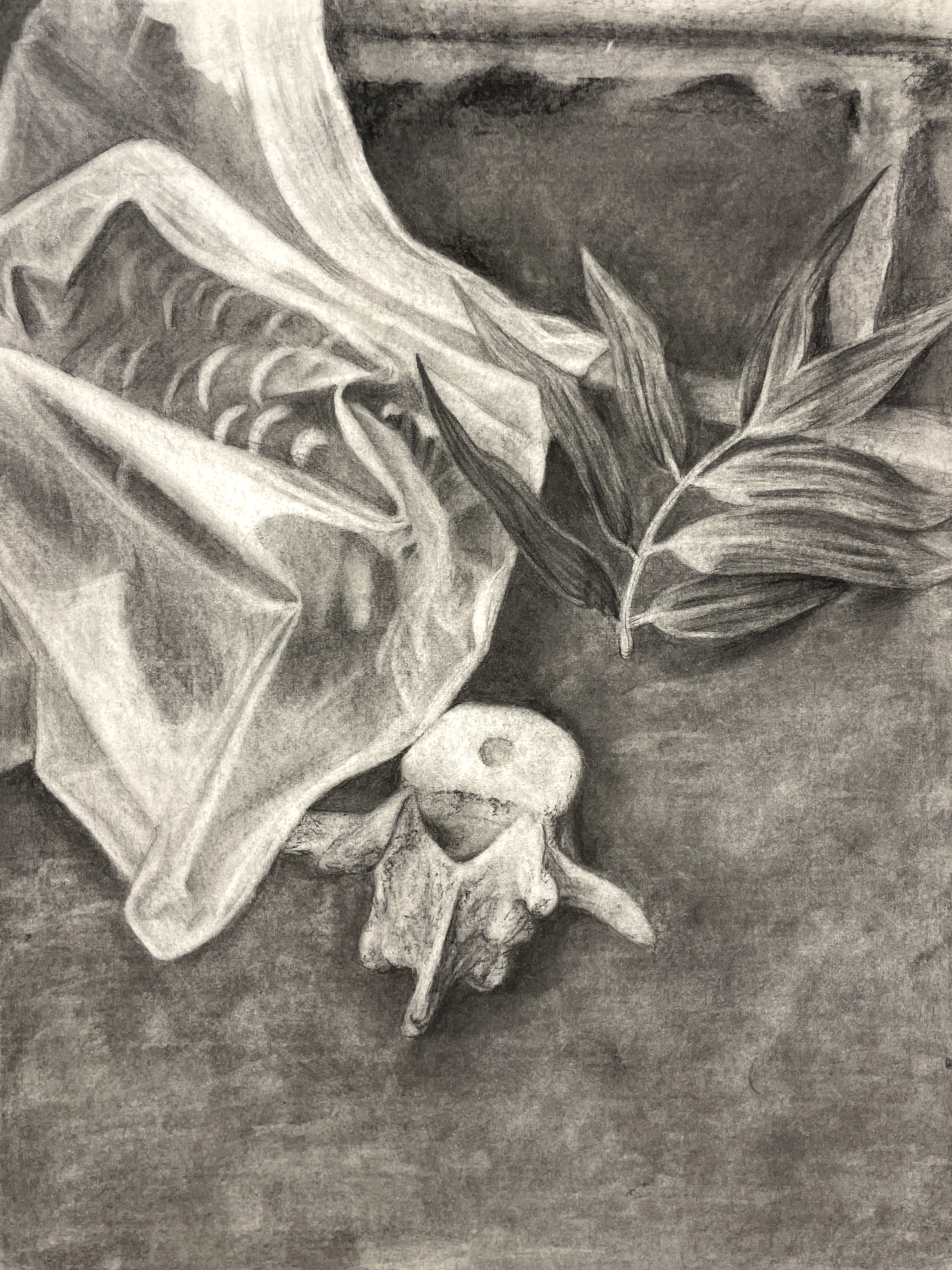 'Recovery' 18"x24" charcoal drawing