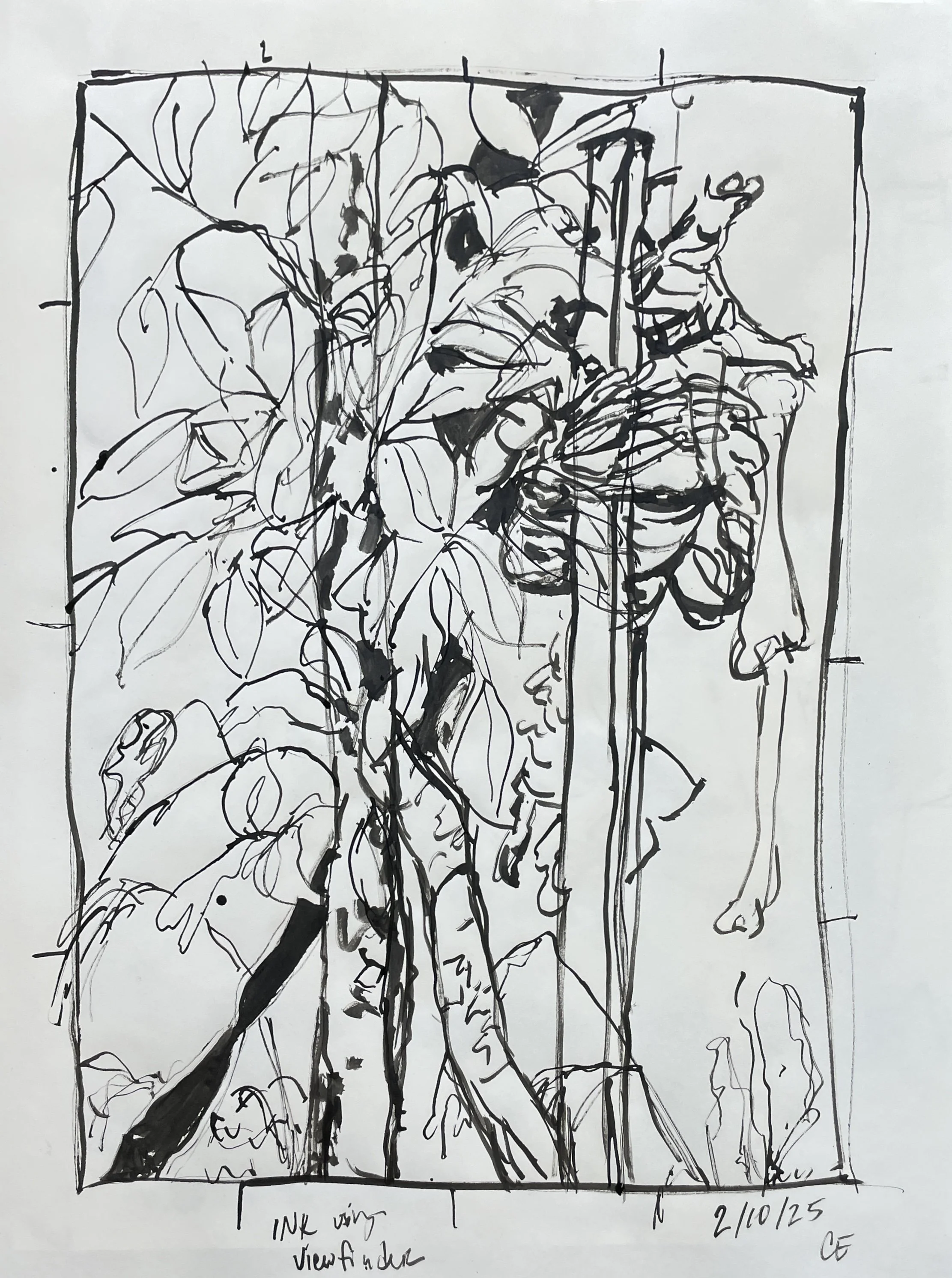 drawing with ink using a viewfinder