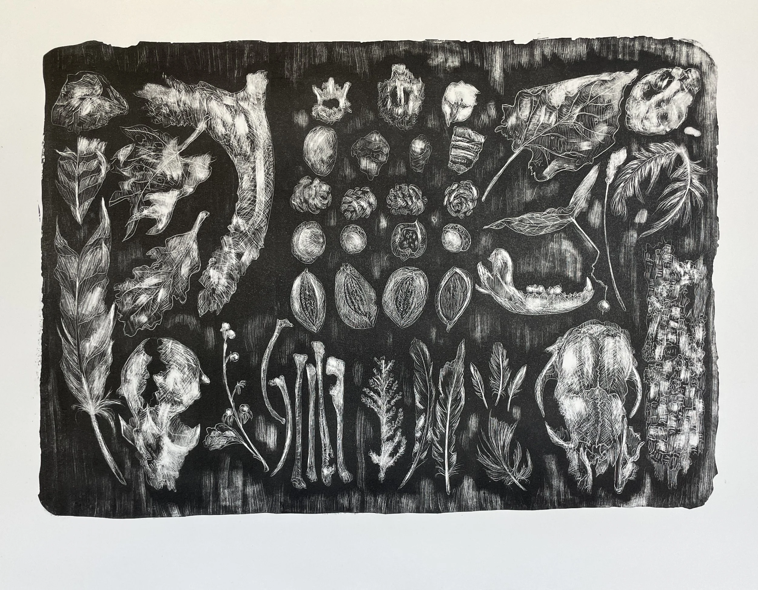 Eckert-9-October Collection-lithograph on paper-20”x15”-2025.JPG