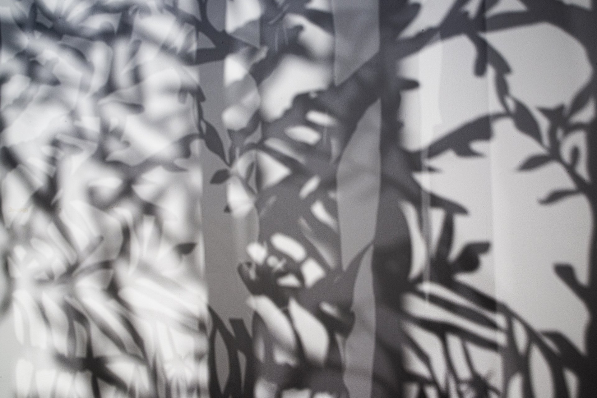 MFA Show 2026 - 20130830 - 018.jpg