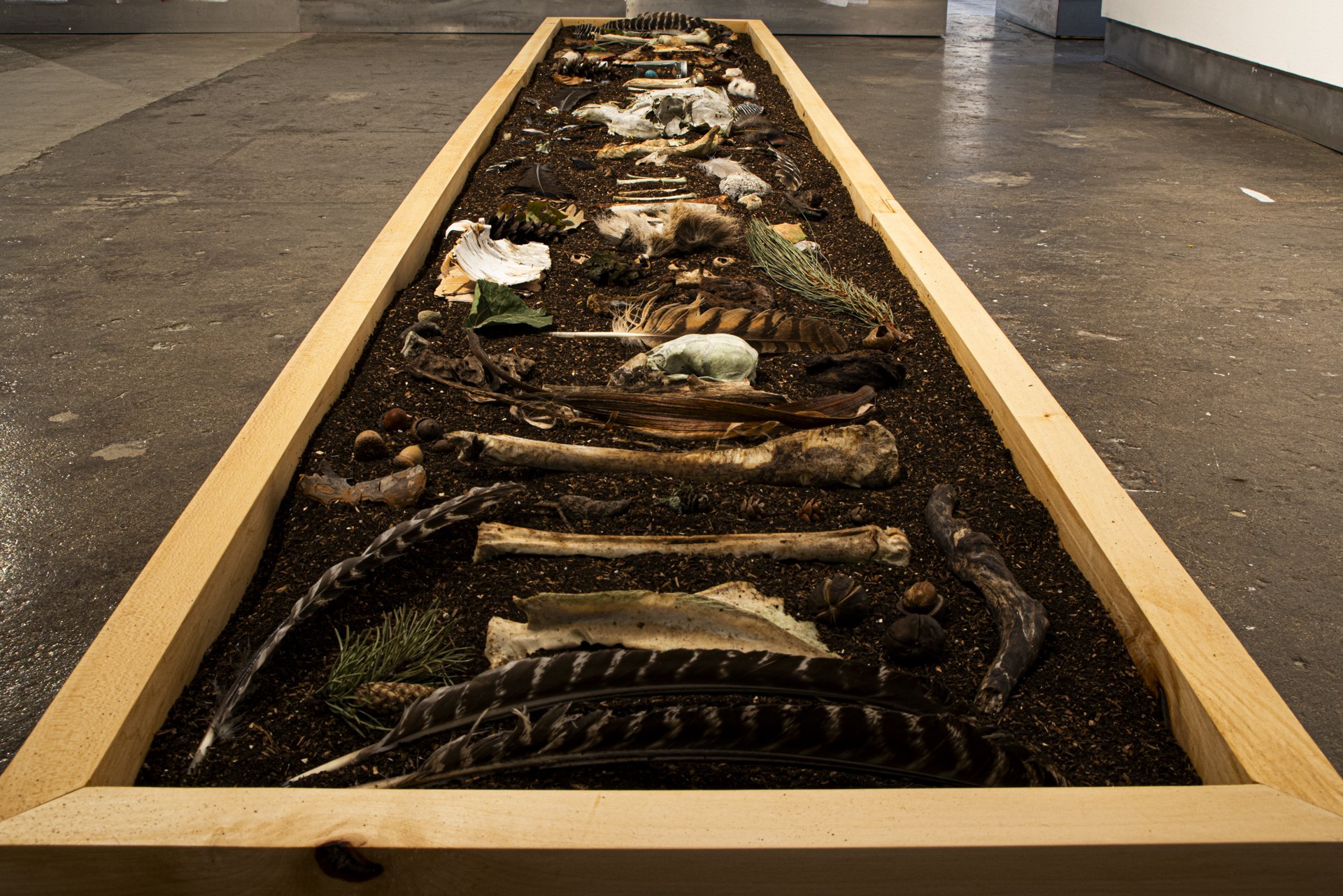 MFA Show 2026 - 20130830 - 010.jpg