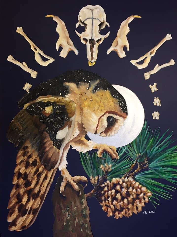 Nocturnal Visits.JPG