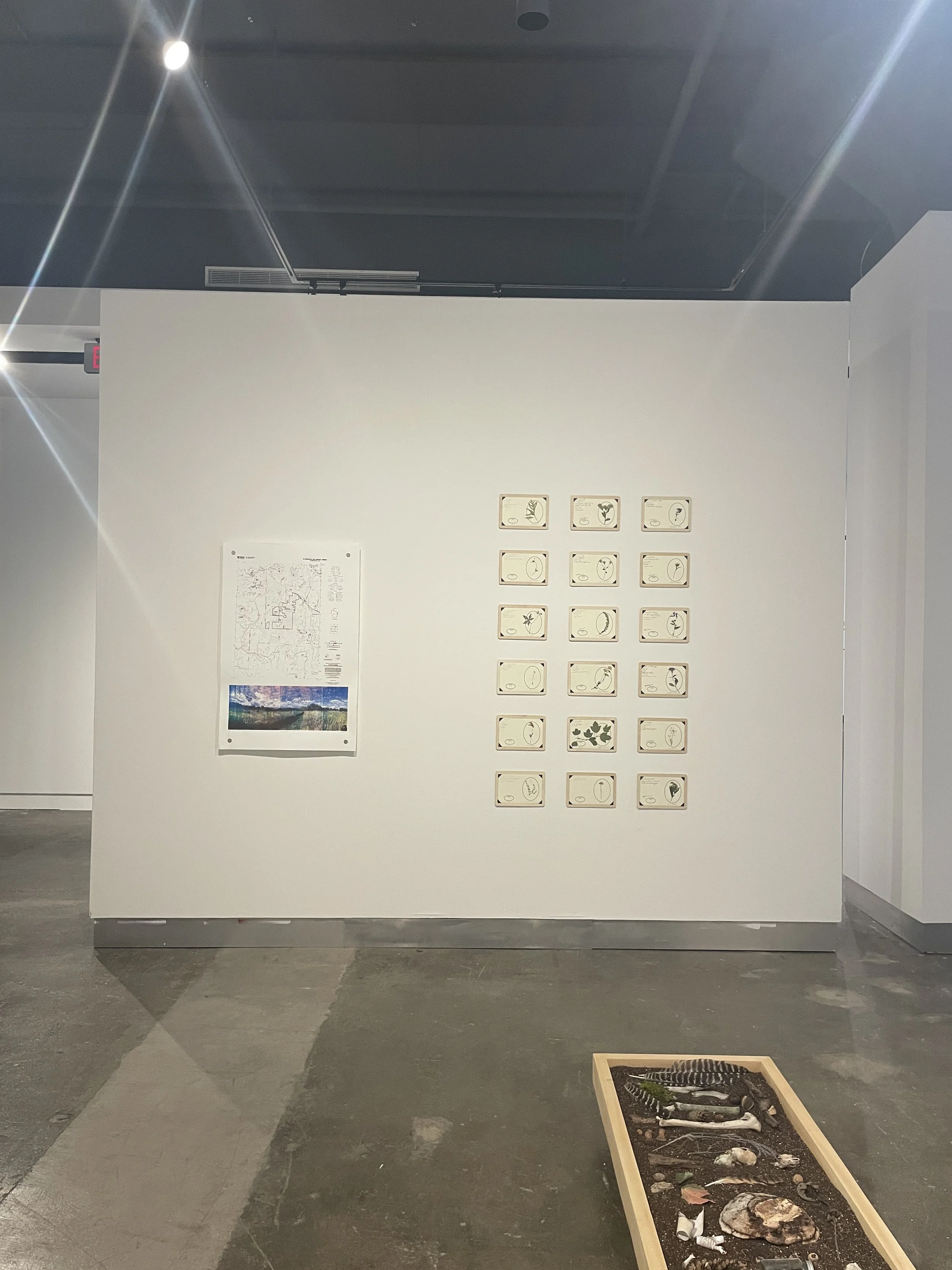 IMG_9614.JPG