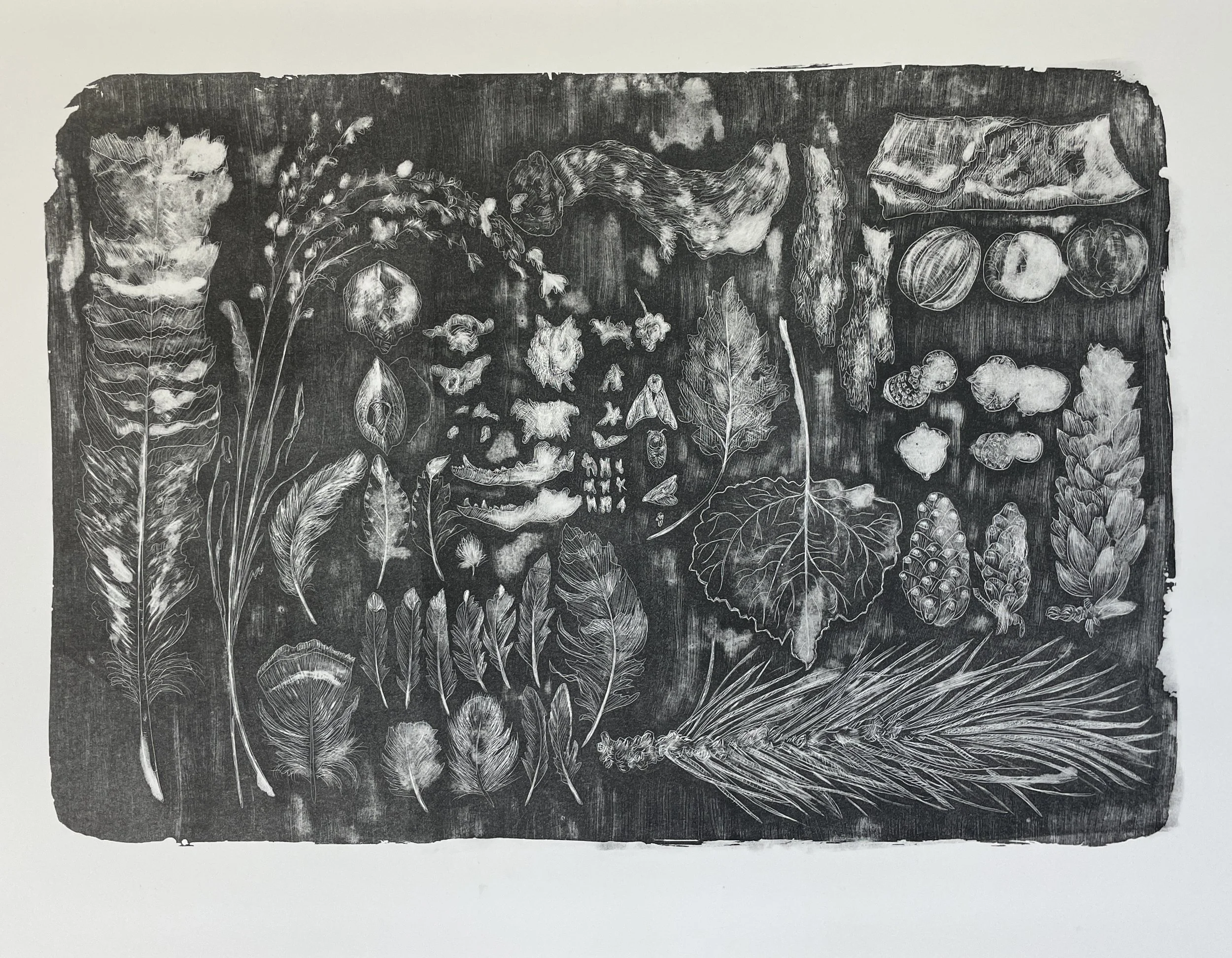 Eckert-7-August Collection-lithograph on paper-20”x15”-2025.JPG