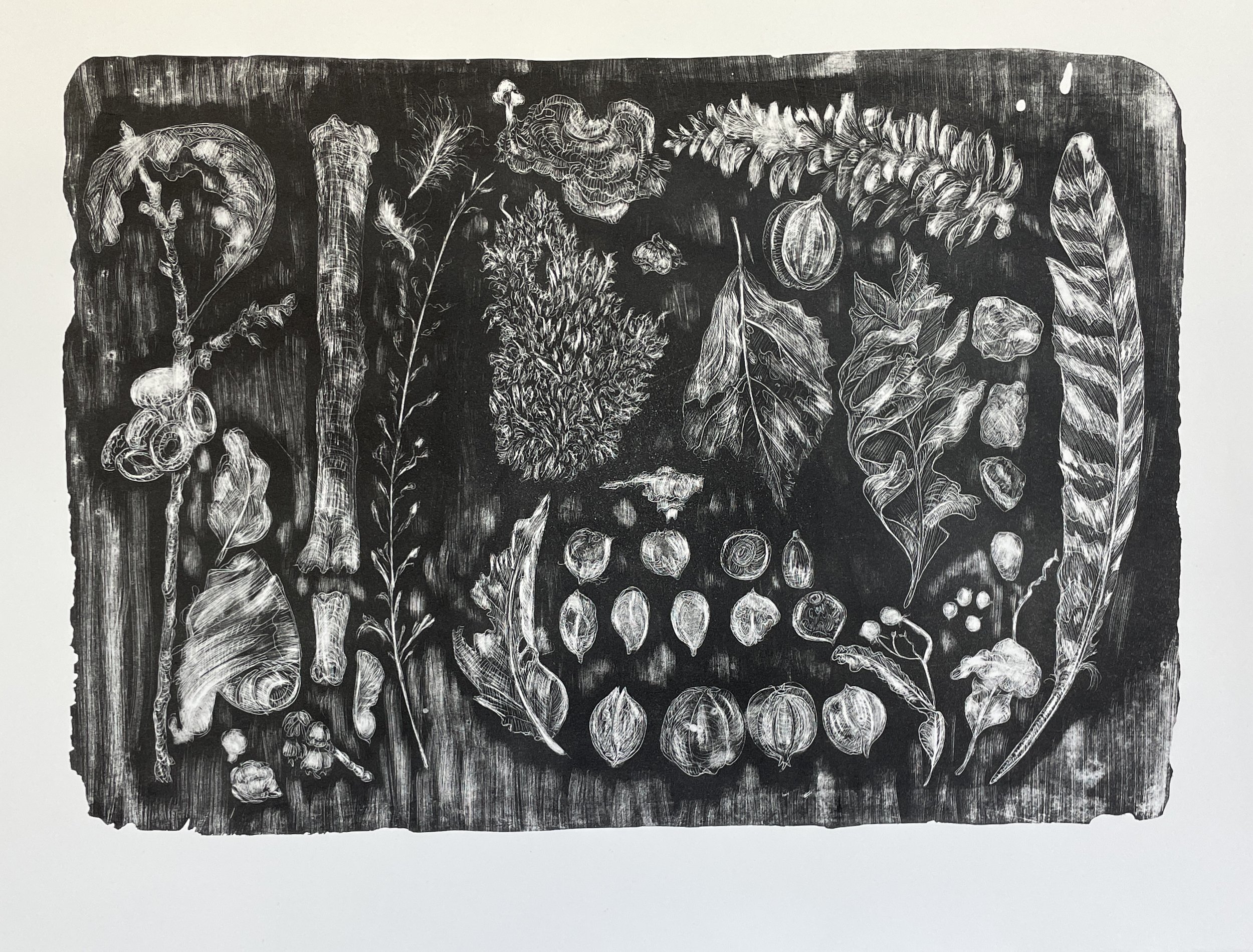 Eckert-10-November Collection-lithograph on paper-20”x15”-2025.jpg