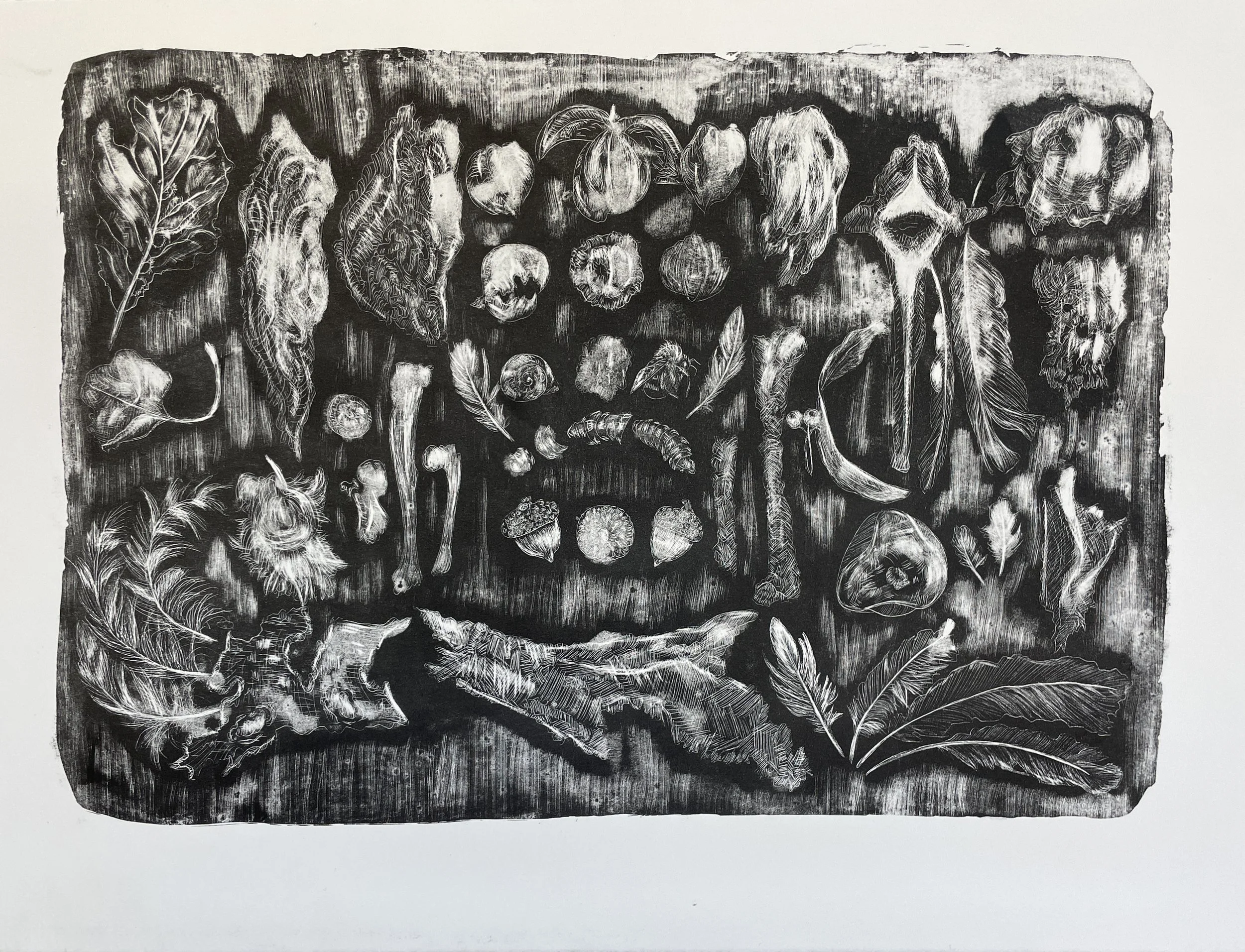 Eckert-8-September Collection-lithograph on paper-20”x15”-2025.JPG