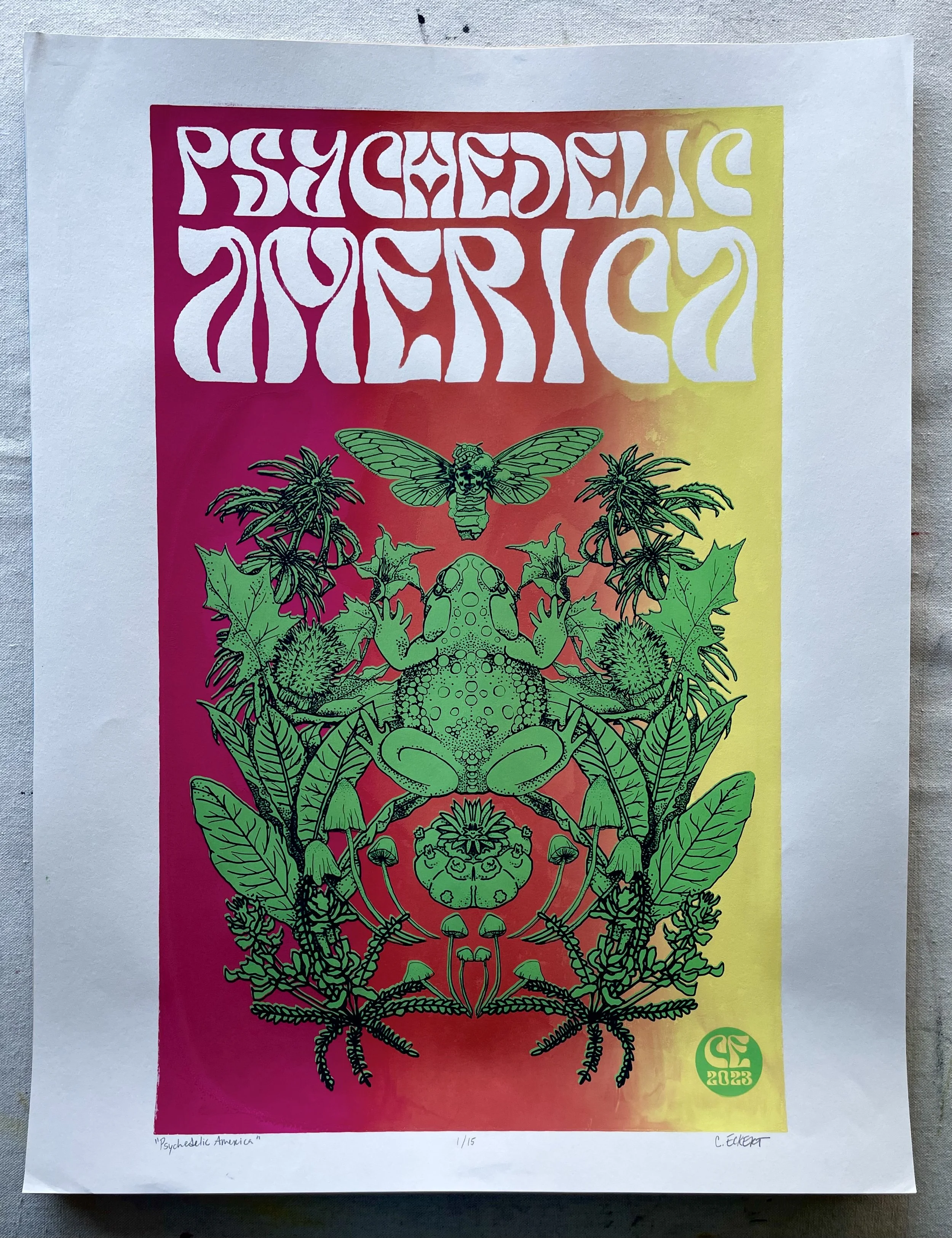 Psychedelic America.jpeg