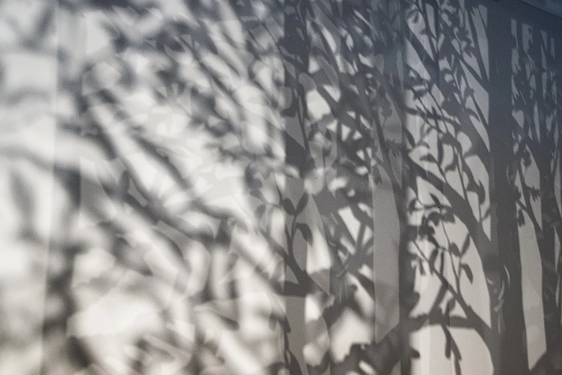 MFA Show 2026 - 20130830 - 017.jpg