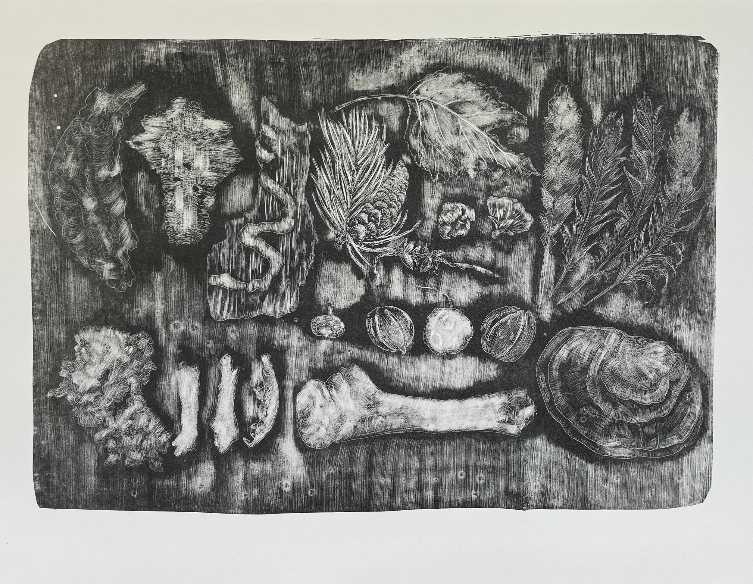 Eckert-6-July Collection-lithograph on paper-20”x15”-2025.JPG