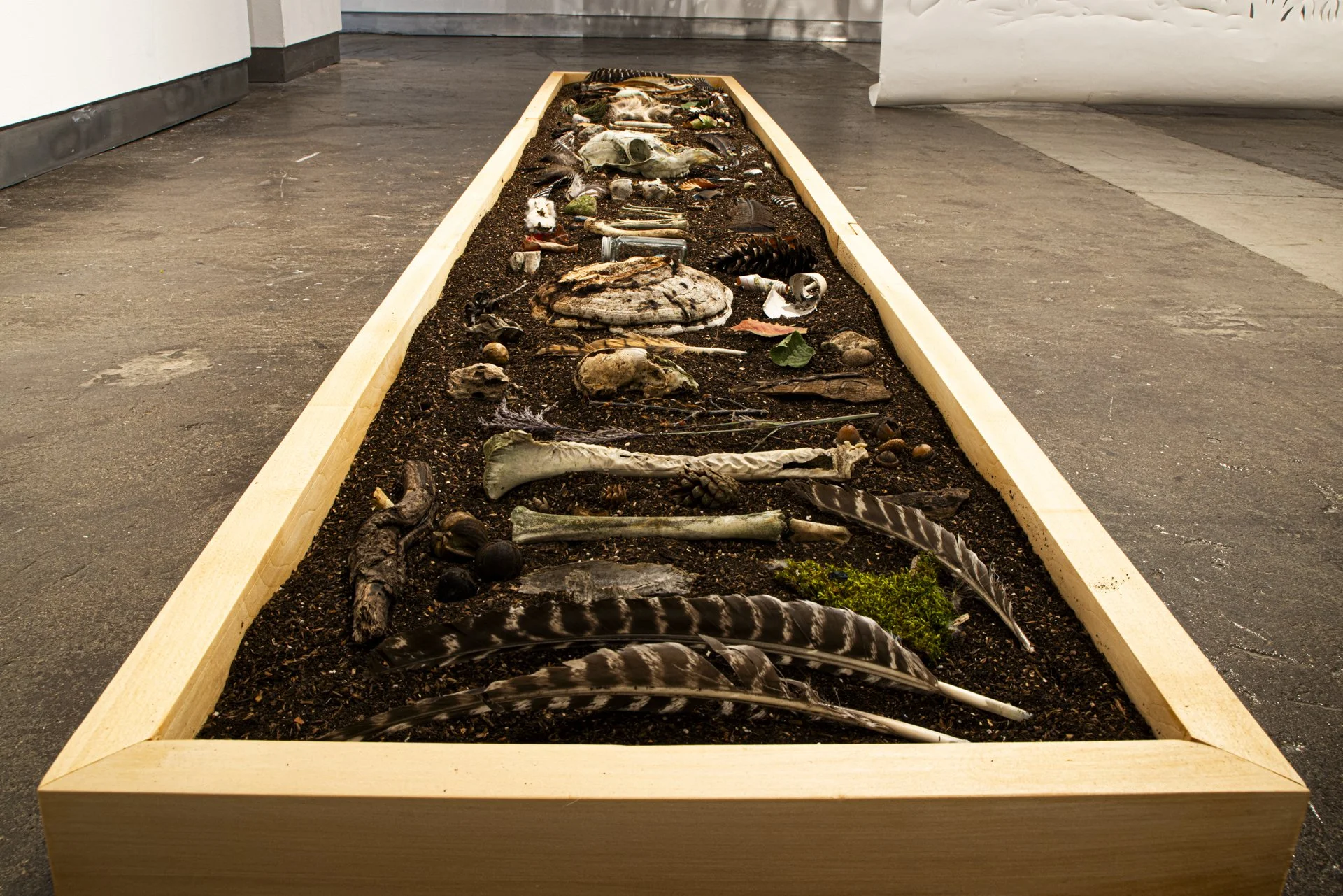 MFA Show 2026 - 20130830 - 012.jpg