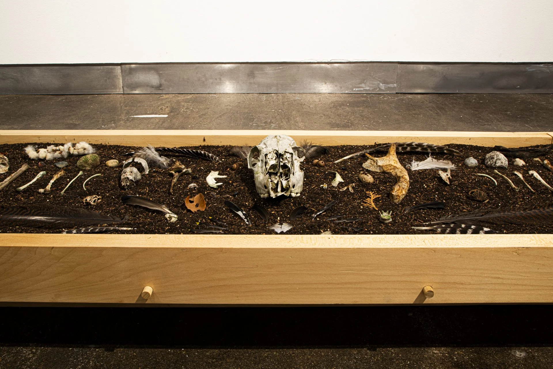 MFA Show 2026 - 20130830 - 011.jpg