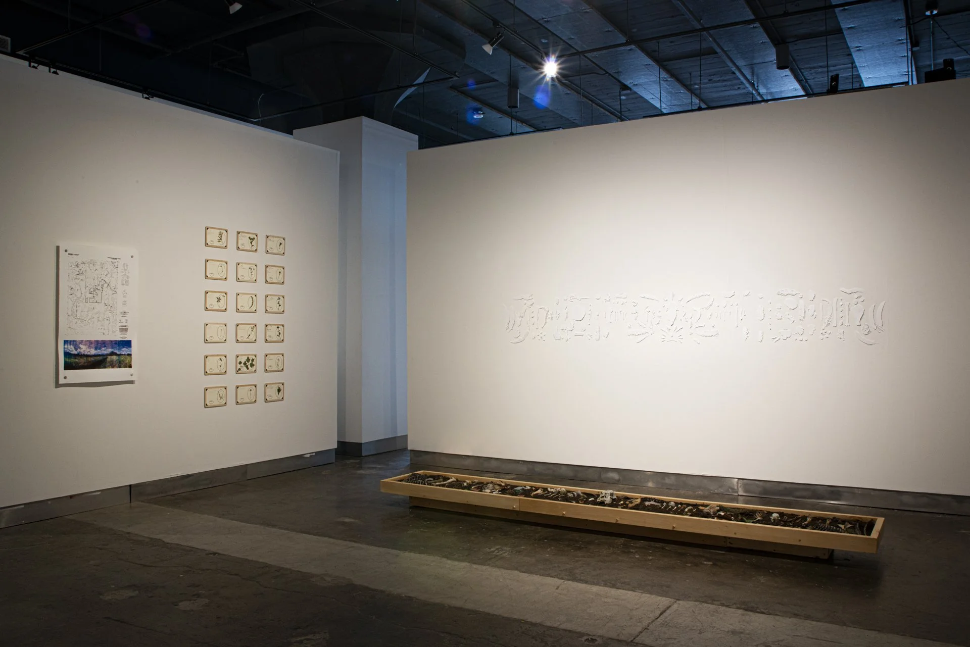 MFA Show 2026 - 20130830 - 005.jpg