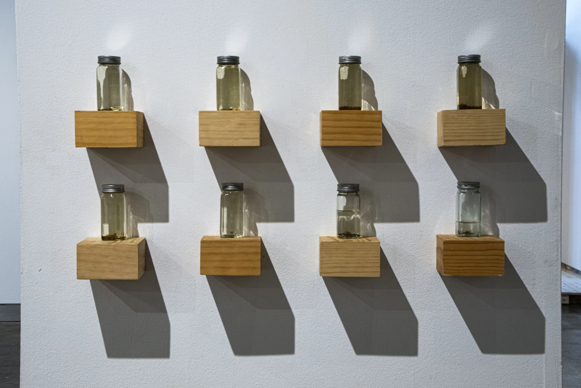 MFA Show 2026 - 20130830 - 015.jpg