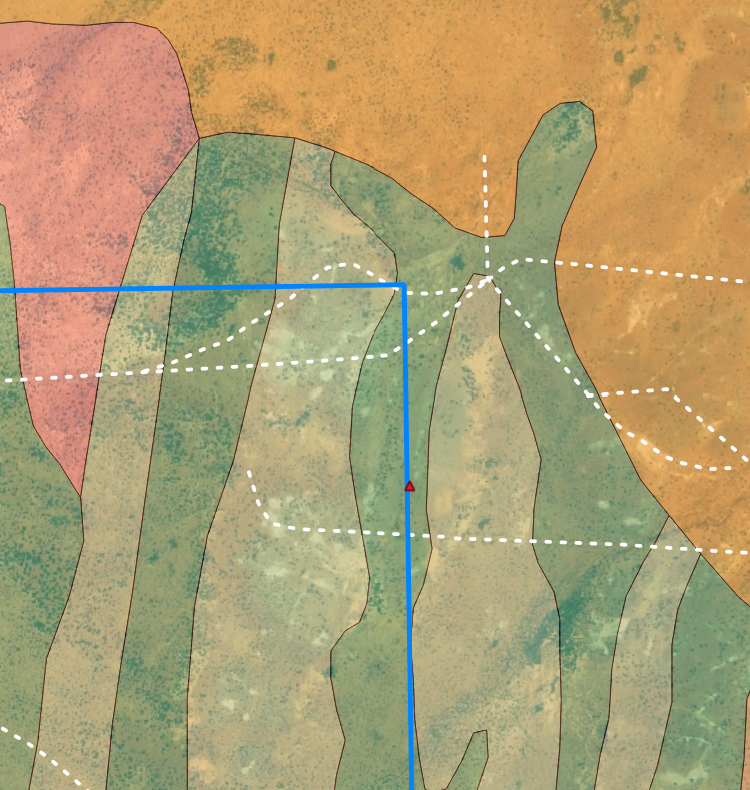 Geological Mapping Gold Exploration Western Australia GoldFields