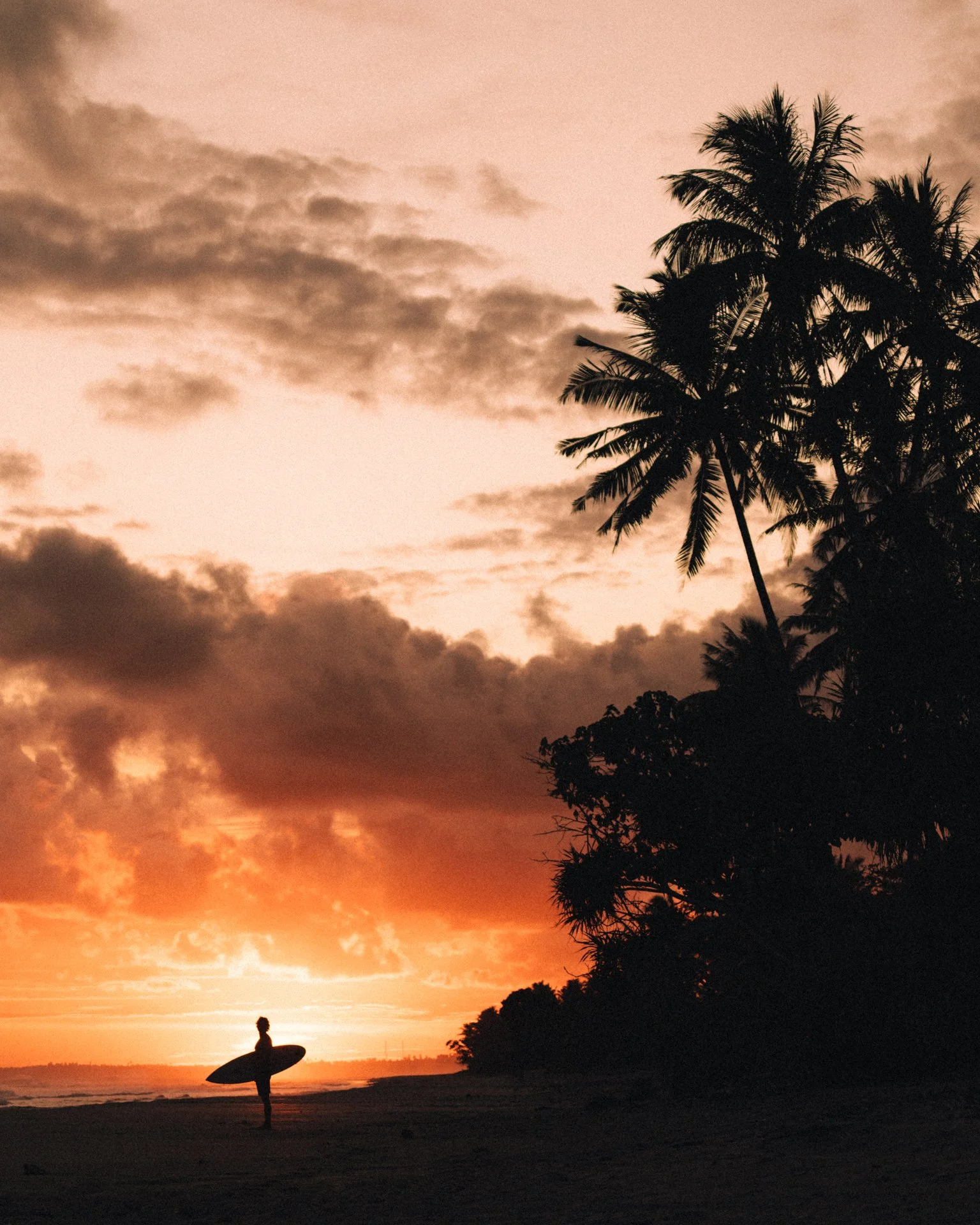 Silhouette of a surfer holding a surfboard on a beach during a sunset, with palm trees and a colorful sky with clouds in the background.