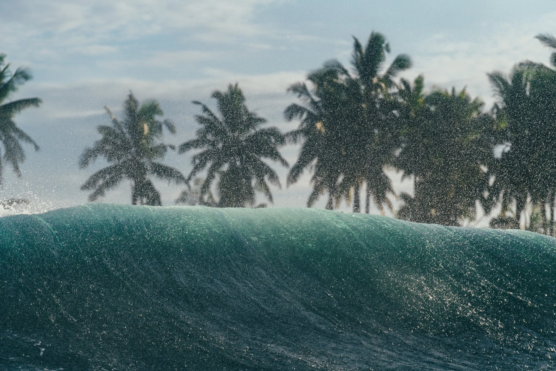 Surfer riding a wave with water splashing, with palm trees and a cloudy sky in the background.