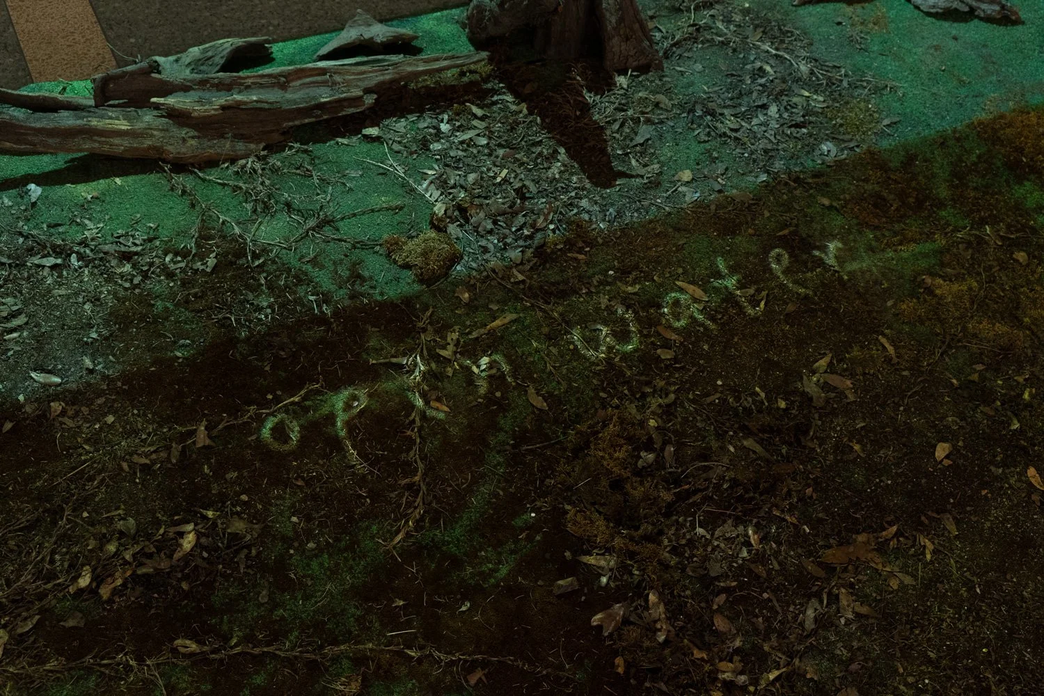 Art+EnvironmentII_82.jpg