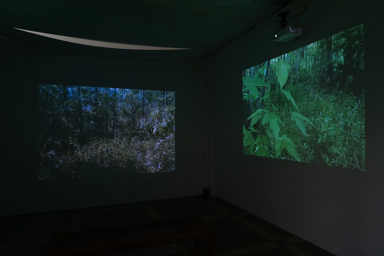 Art+EnvironmentII_62.jpg