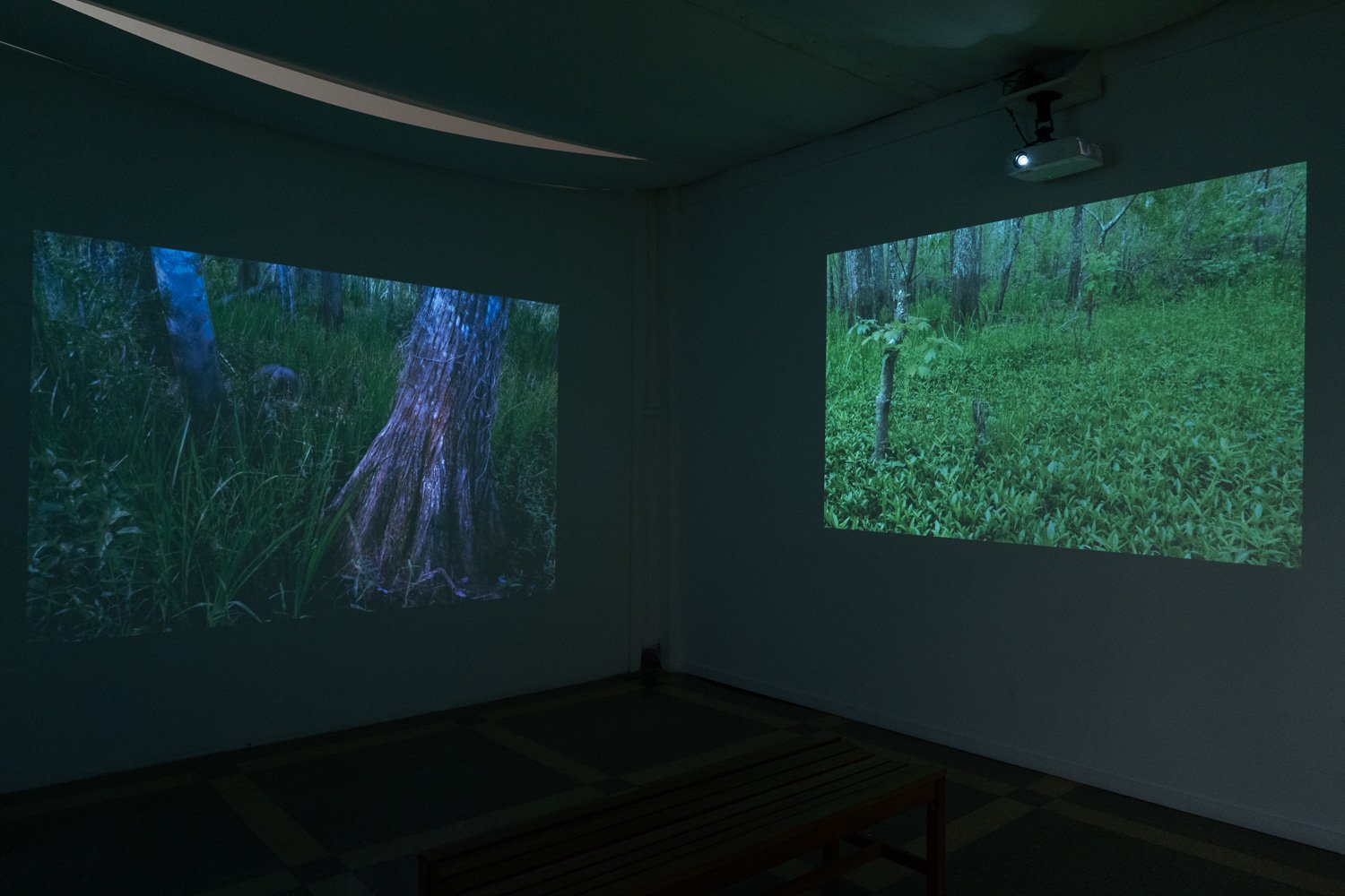 Art+EnvironmentII_65.jpg