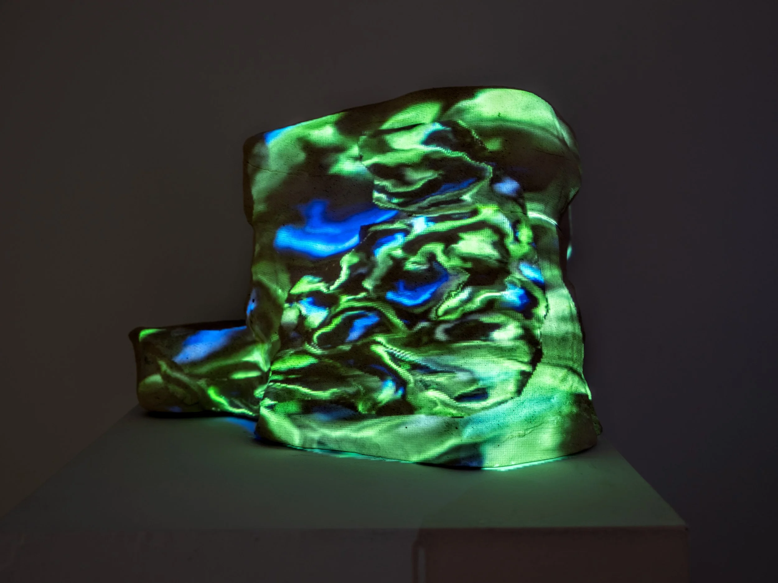 DSCF8551.jpg