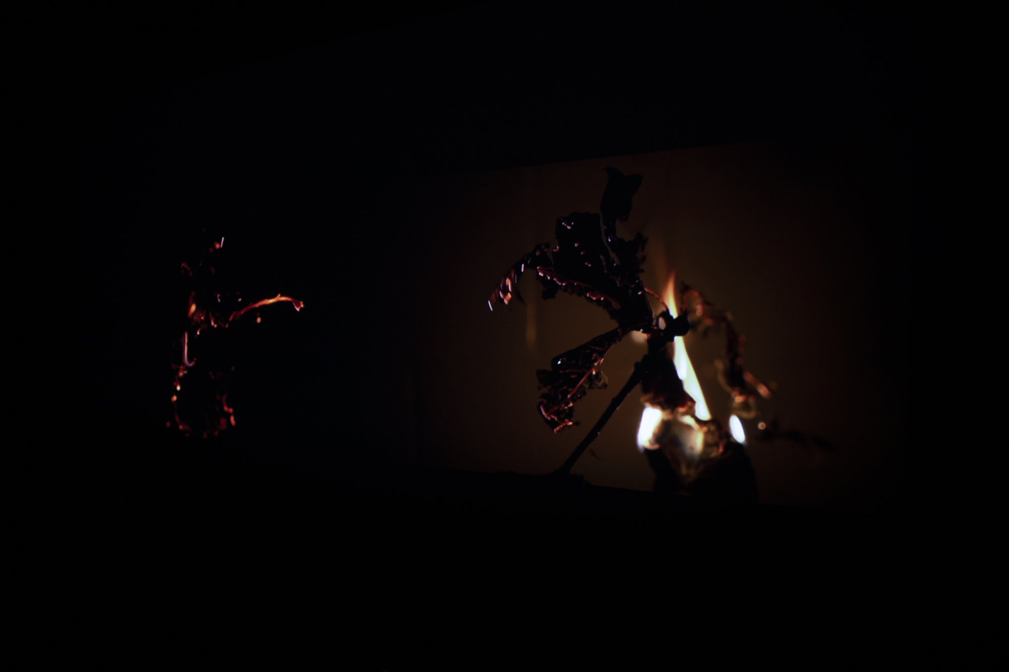 FacultyShow_Fall2024_SLU_CFL_81.jpg