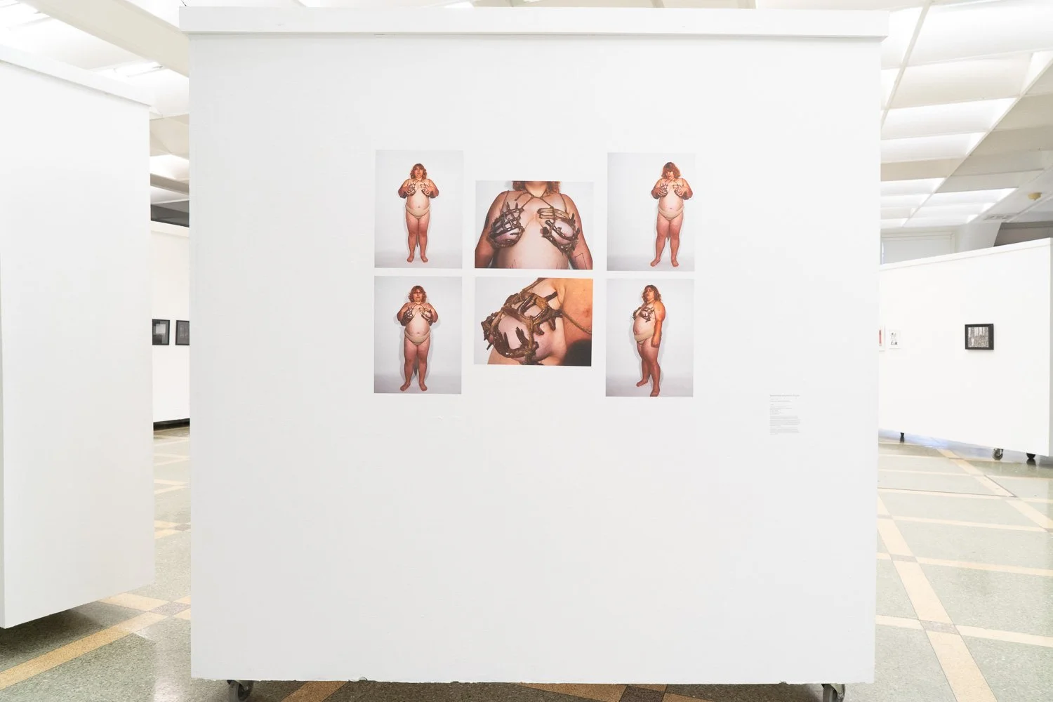 Art+EnvironmentII_39.jpg