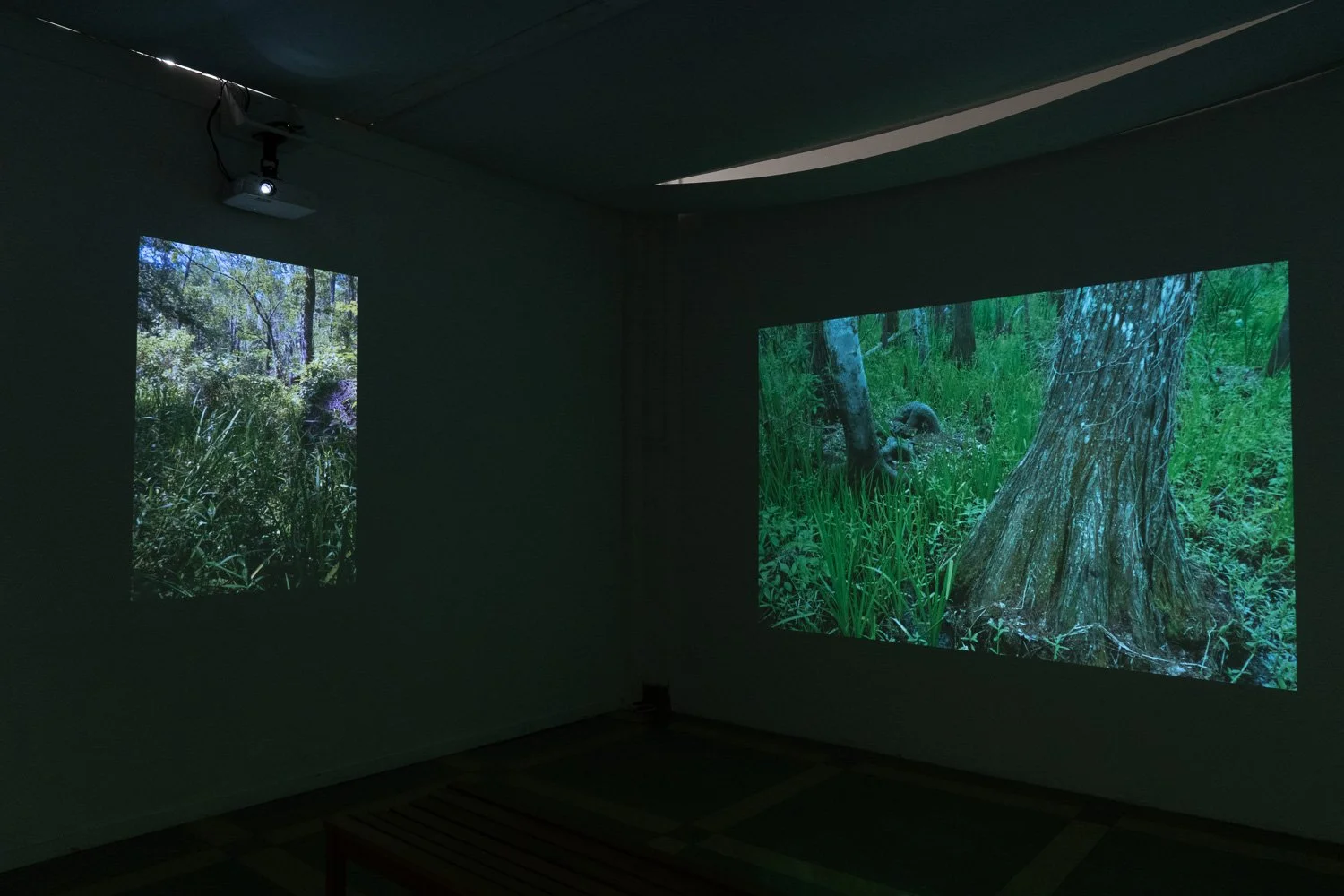 Art+EnvironmentII_64.jpg