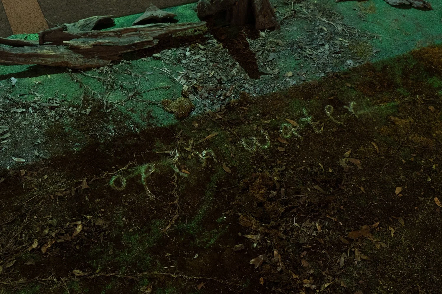 Art+EnvironmentII_81.jpg