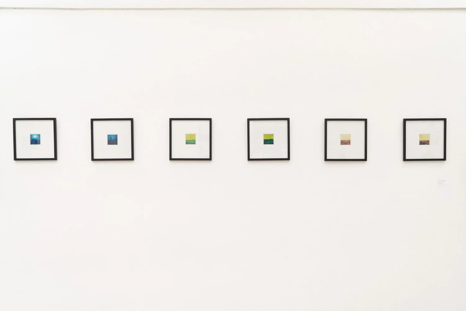 Art+EnvironmentII_17.jpg