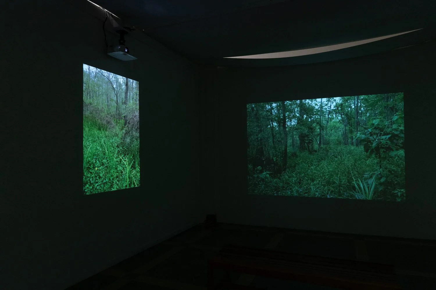 Art+EnvironmentII_61.jpg