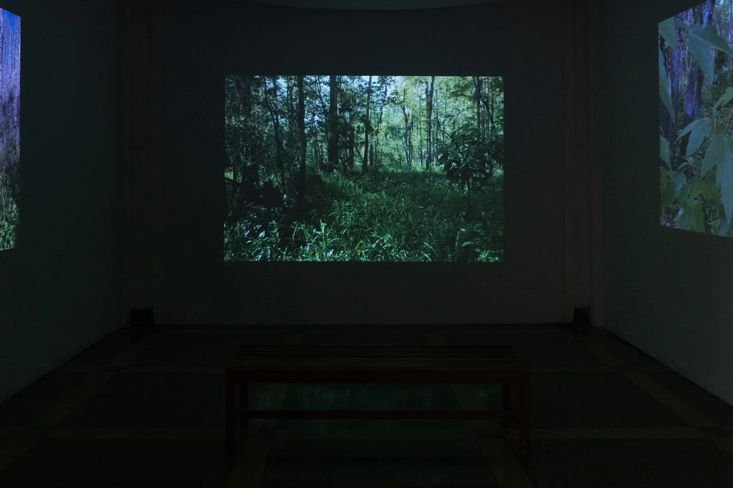 Art+EnvironmentII_60.jpg