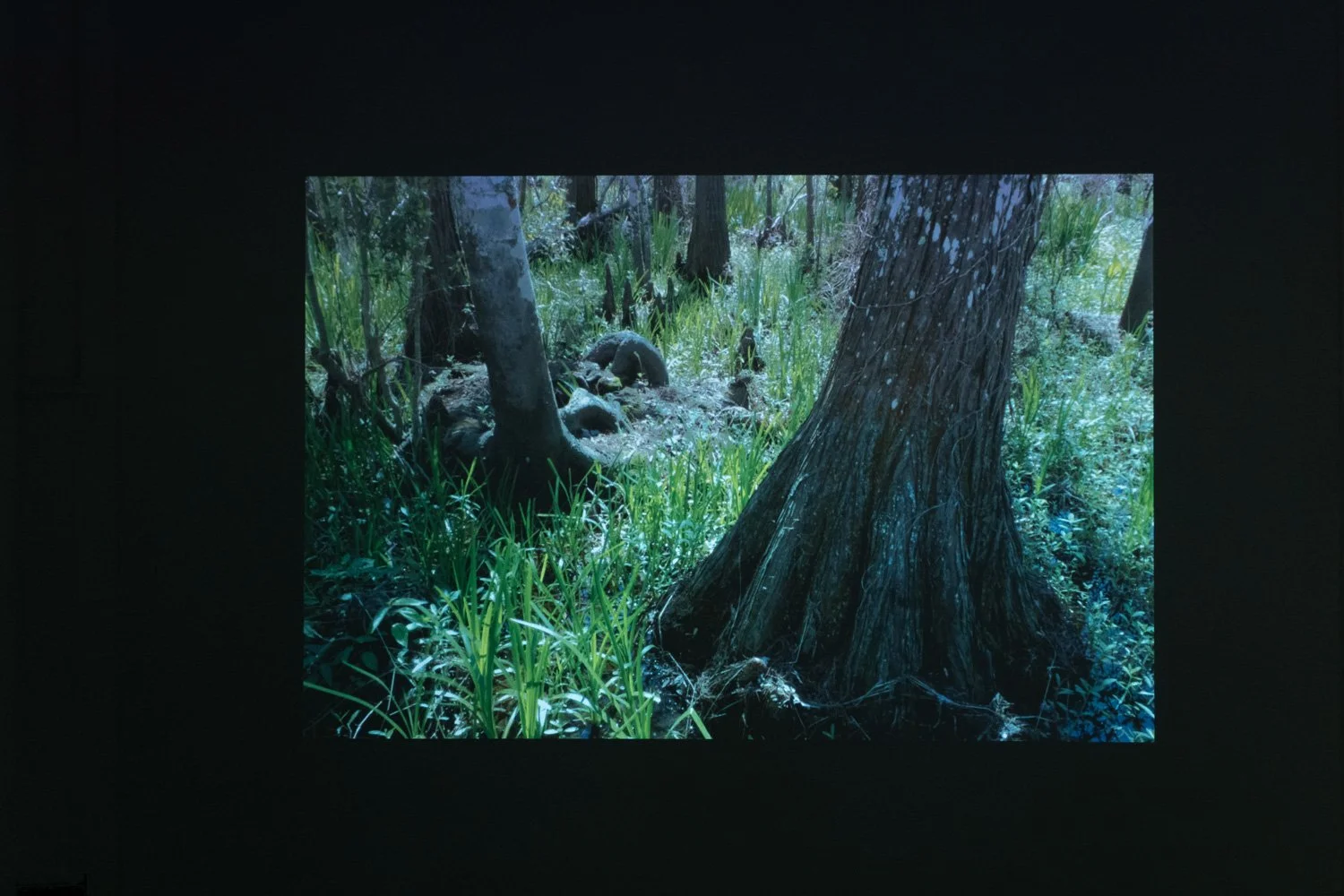 Art+EnvironmentII_63.jpg