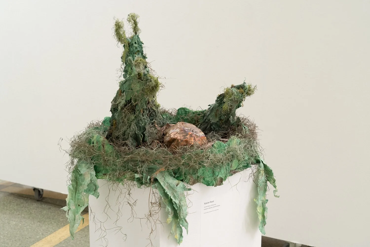 Art+EnvironmentII_37.jpg