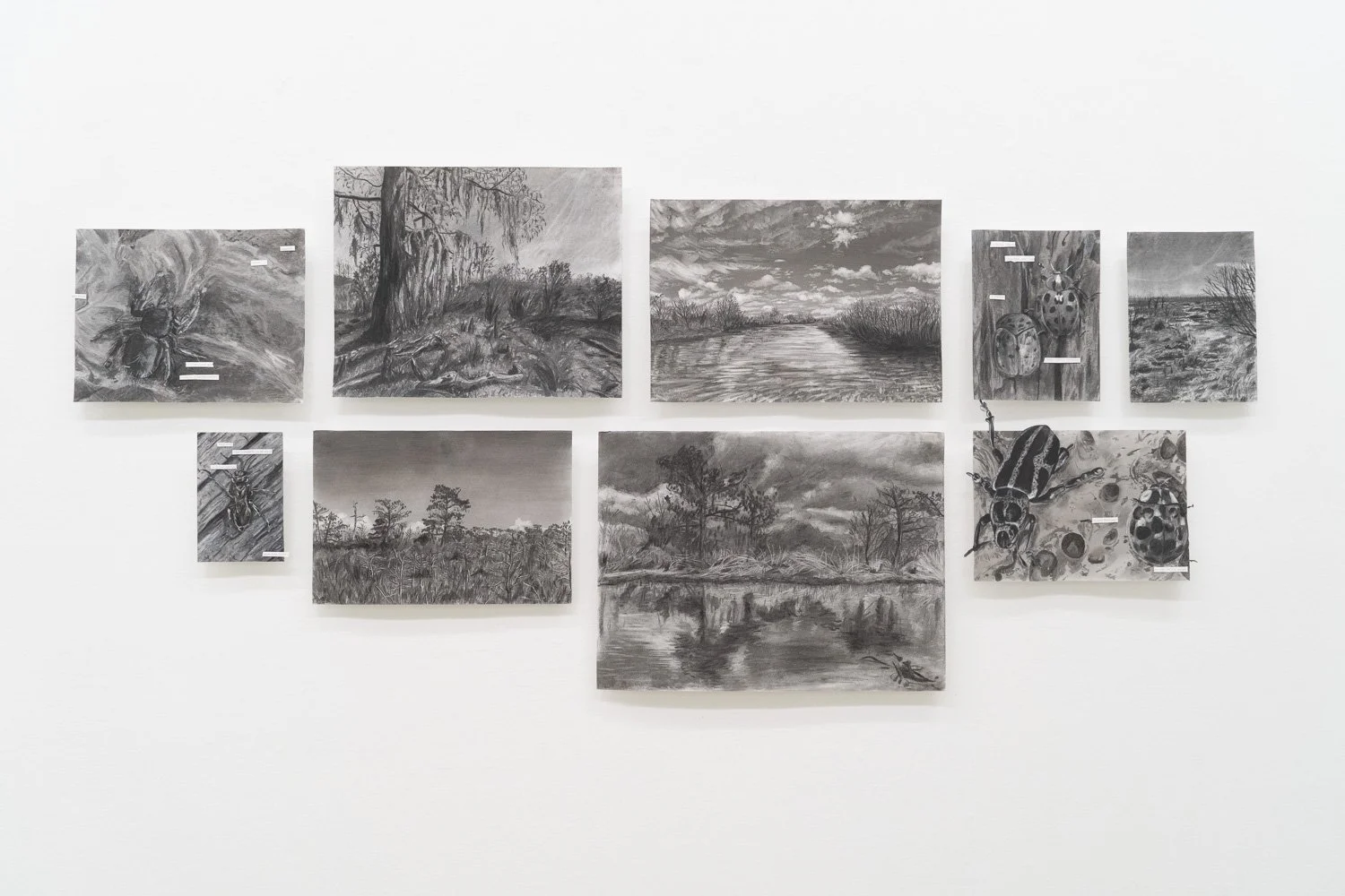 Art+EnvironmentII_43.jpg
