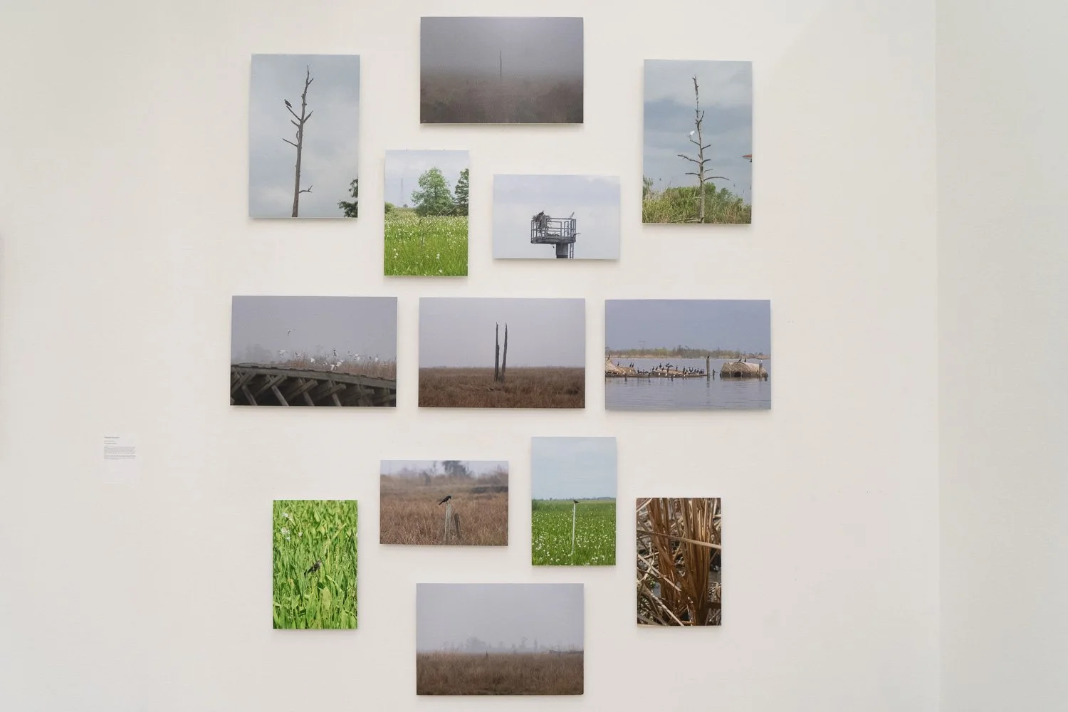 Art+EnvironmentII_8.jpg