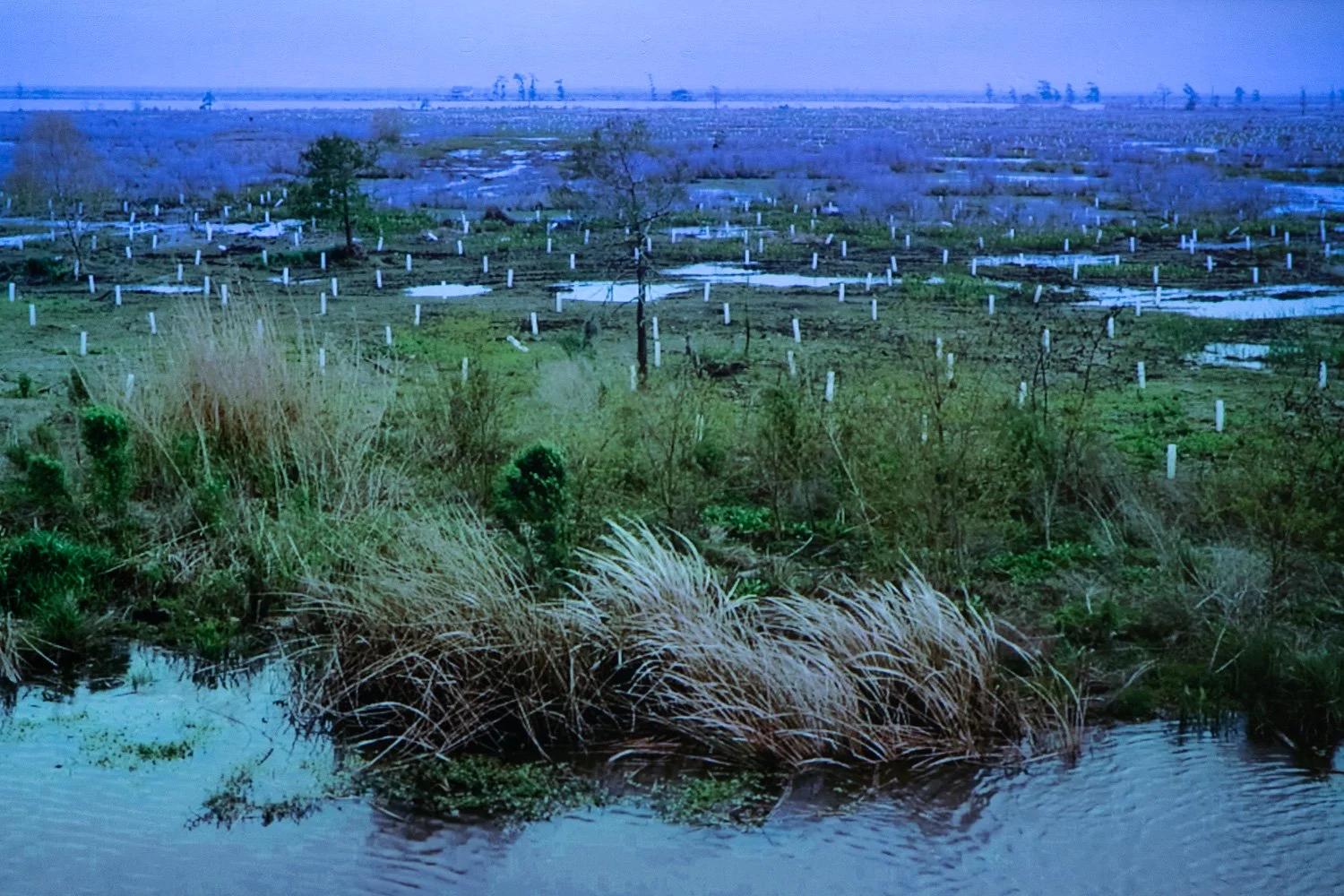 Art+EnvironmentII_98.jpg