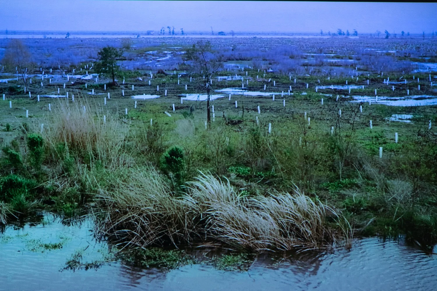 Art+EnvironmentII_96.jpg
