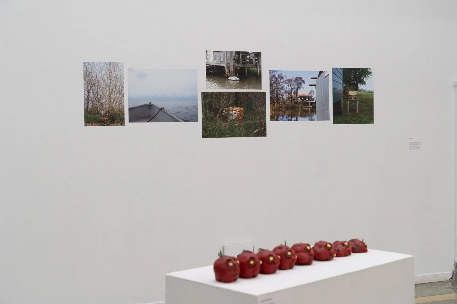 Art+EnvironmentII_51.jpg