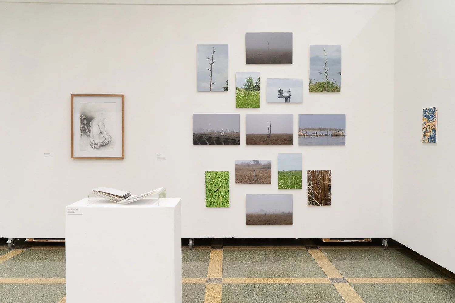 Art+EnvironmentII_10.jpg