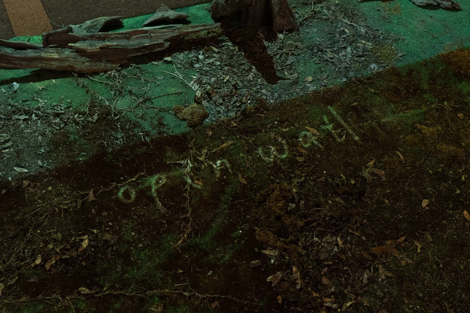 Art+EnvironmentII_80.jpg